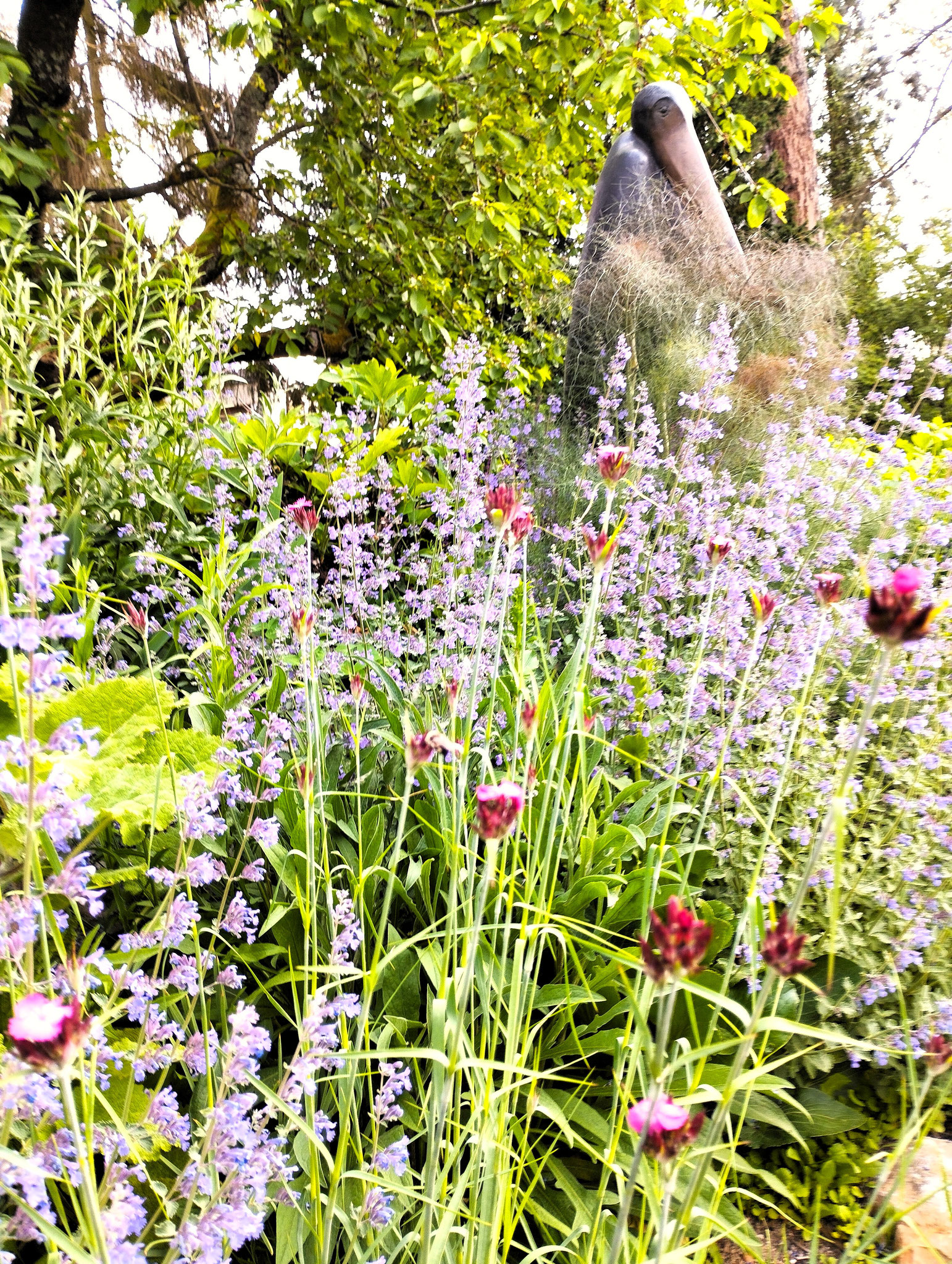 Nepeta x faassenii 'Walkers Low', Dianthus carthusianorum, Foeniculum vulgare 'Rubrum'...
