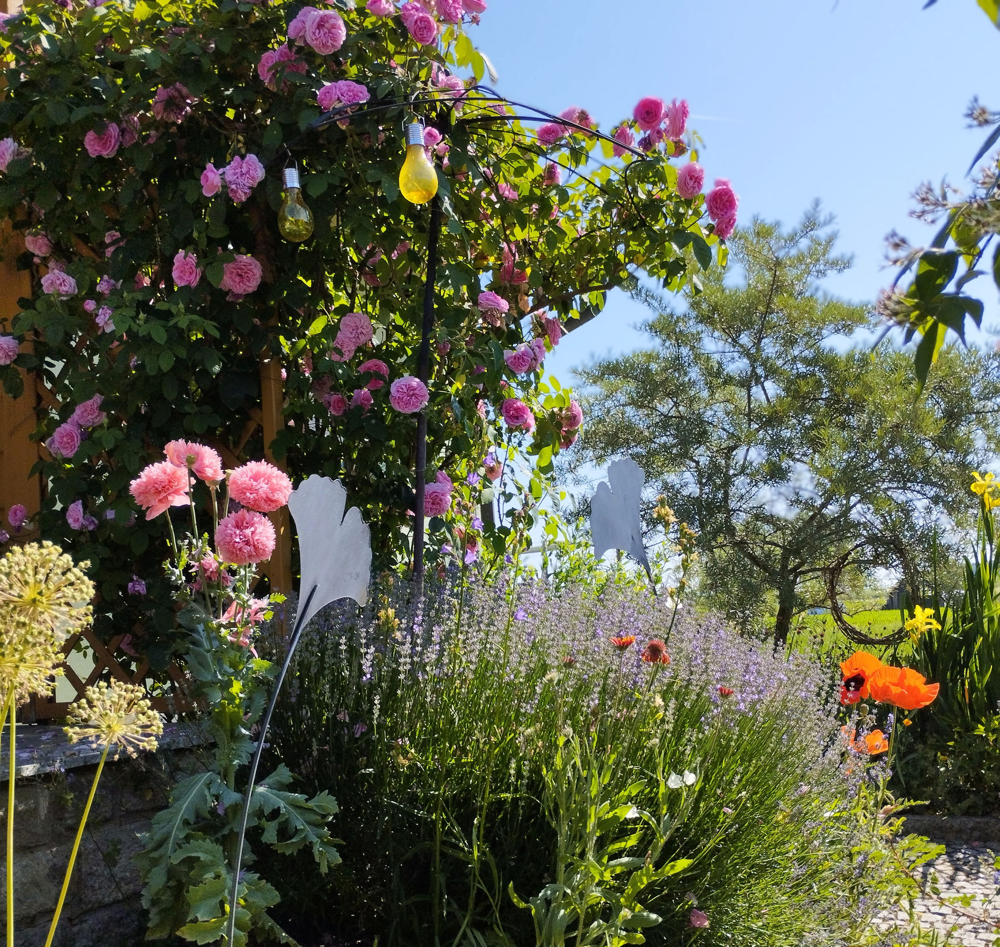 Rosa 'Gertrude Jekyll', Allium, Lavandula angustifolia 'Hidcote Blue', Gaillardia x grandiflora 'Tokajer', Papaver orientale...