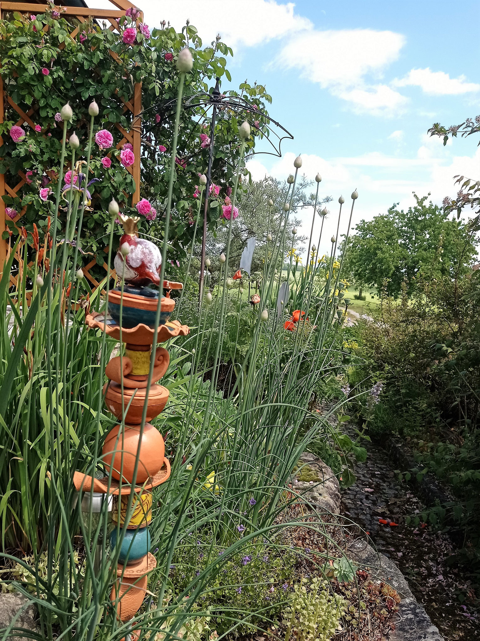 Allium sphaerocephalon, Rosa 'Gertrude Jekyll', Papaver orientale, Iris Spuria-Hybride 'Skyline'