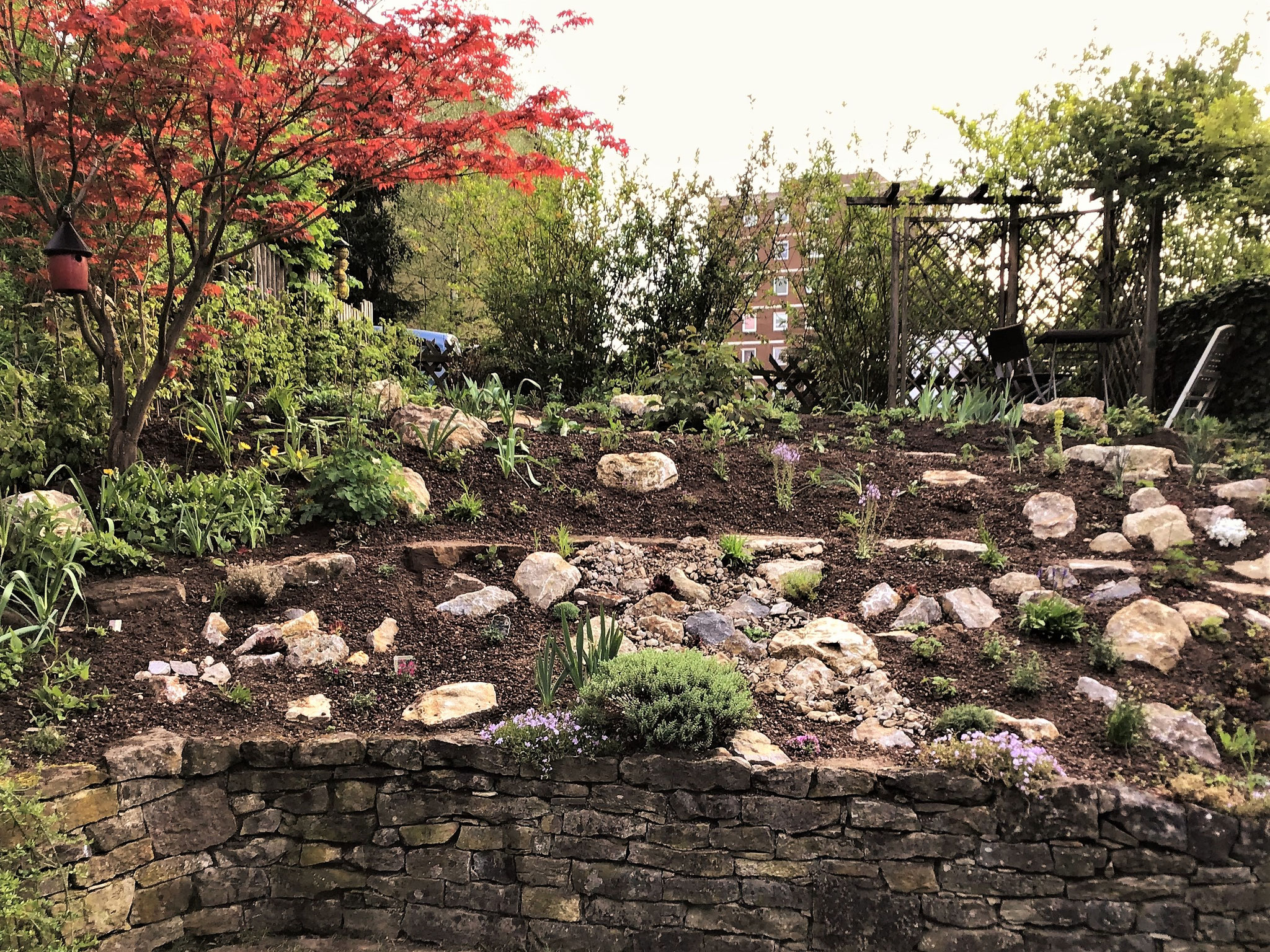 Gartenpflege Pflanzen Naturgarten Baumpflege Stauden Würzburg
