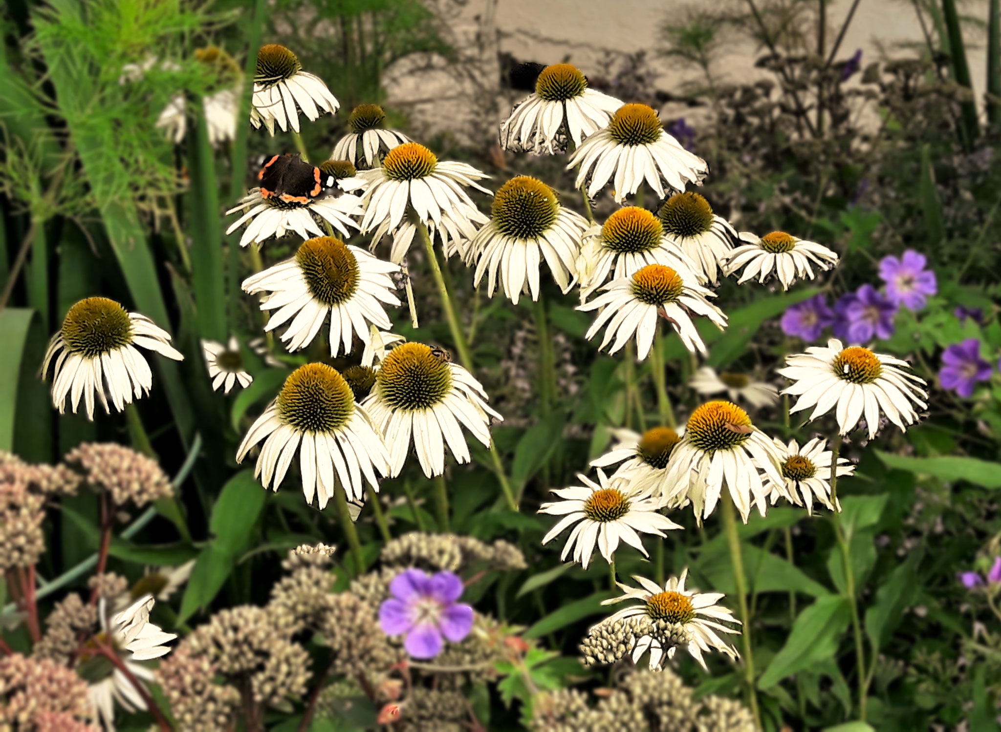 Gartenpflege Pflanzen Naturgarten Baumpflege Stauden Würzburg