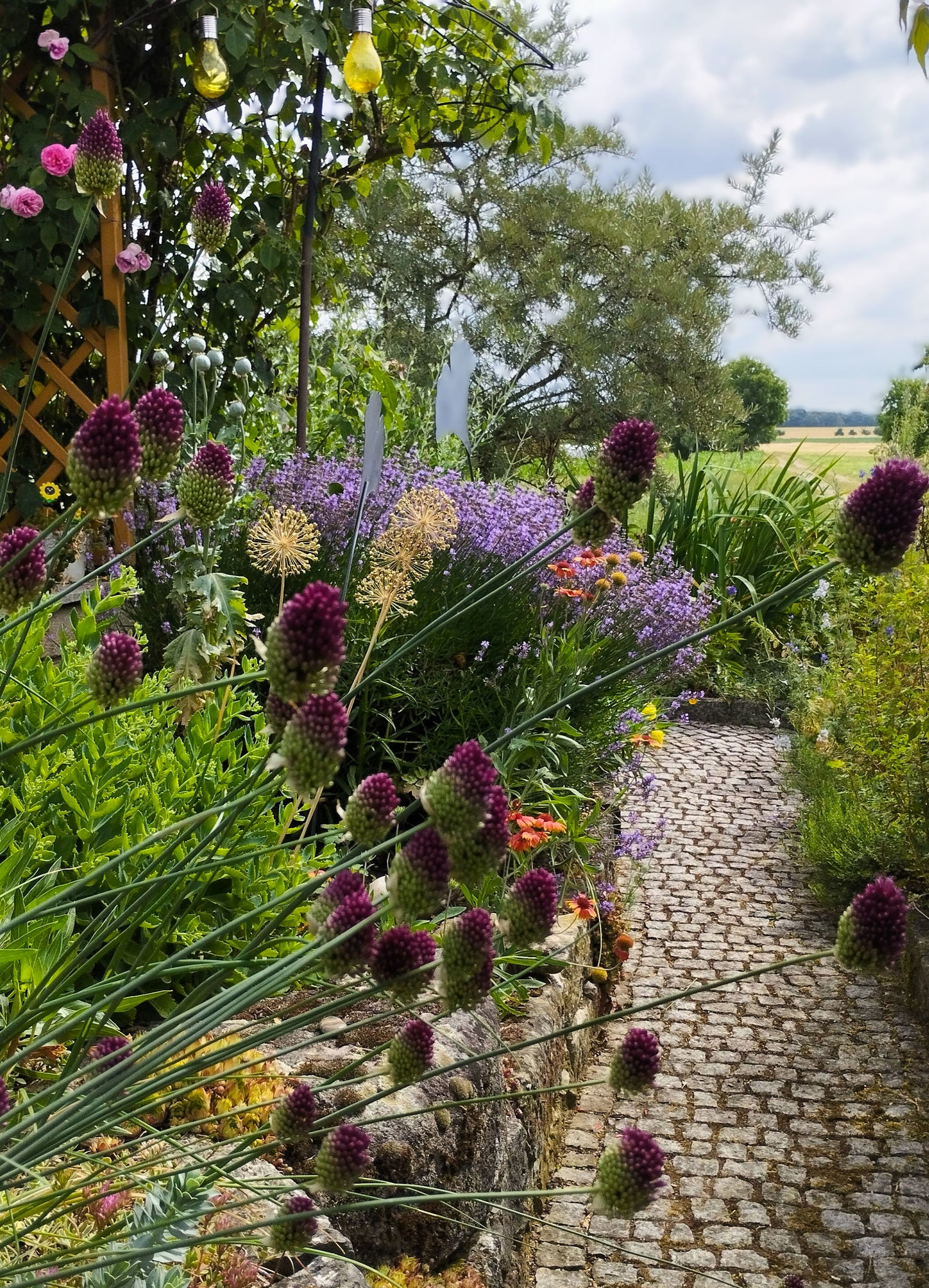 Gartenpflege Pflanzen Naturgarten Baumpflege Stauden Würzburg