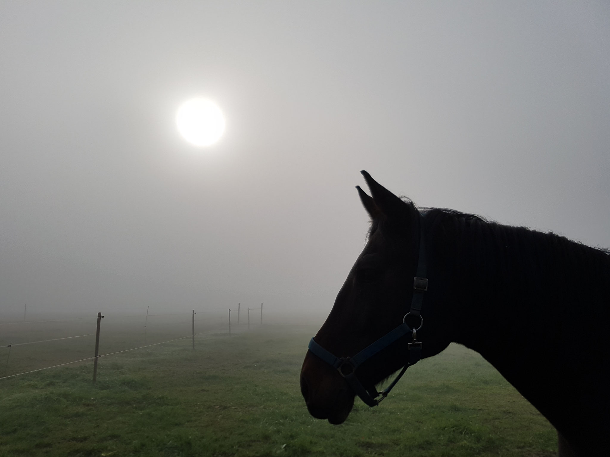" Morgendliches Erwachen"!