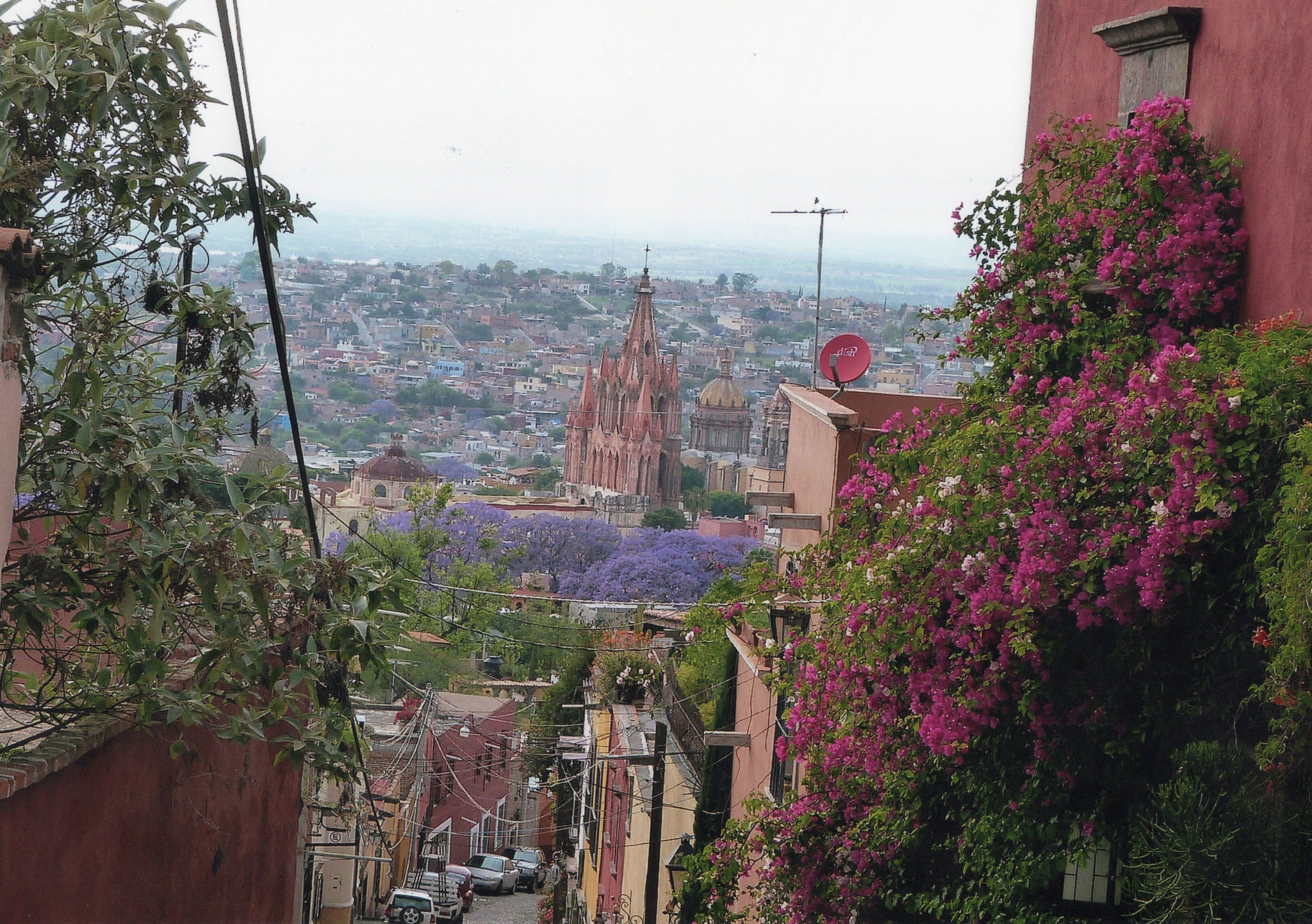 ３月のメキシコ