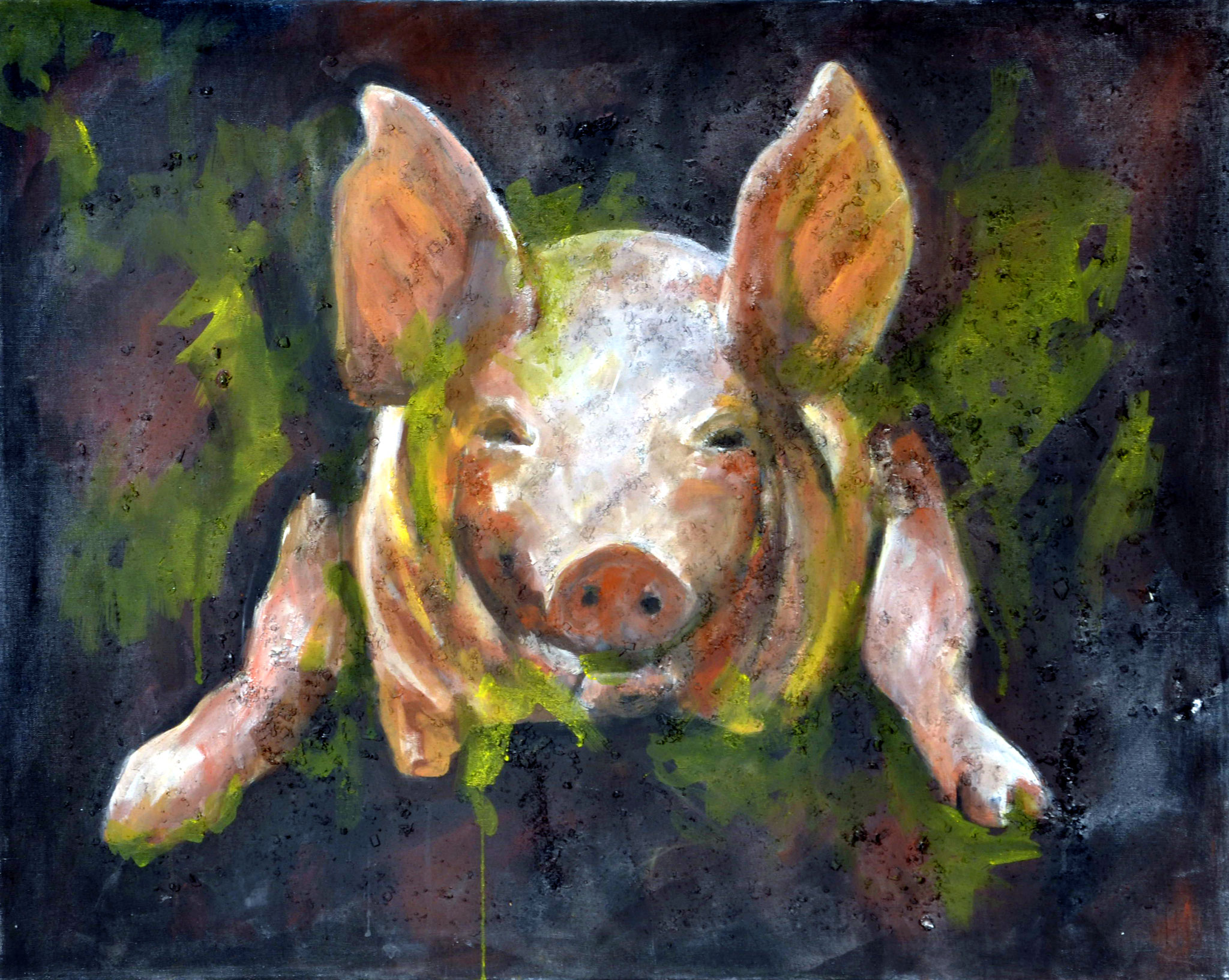 ohne Titel (Schwein) - 100cm x 80cm (900€)