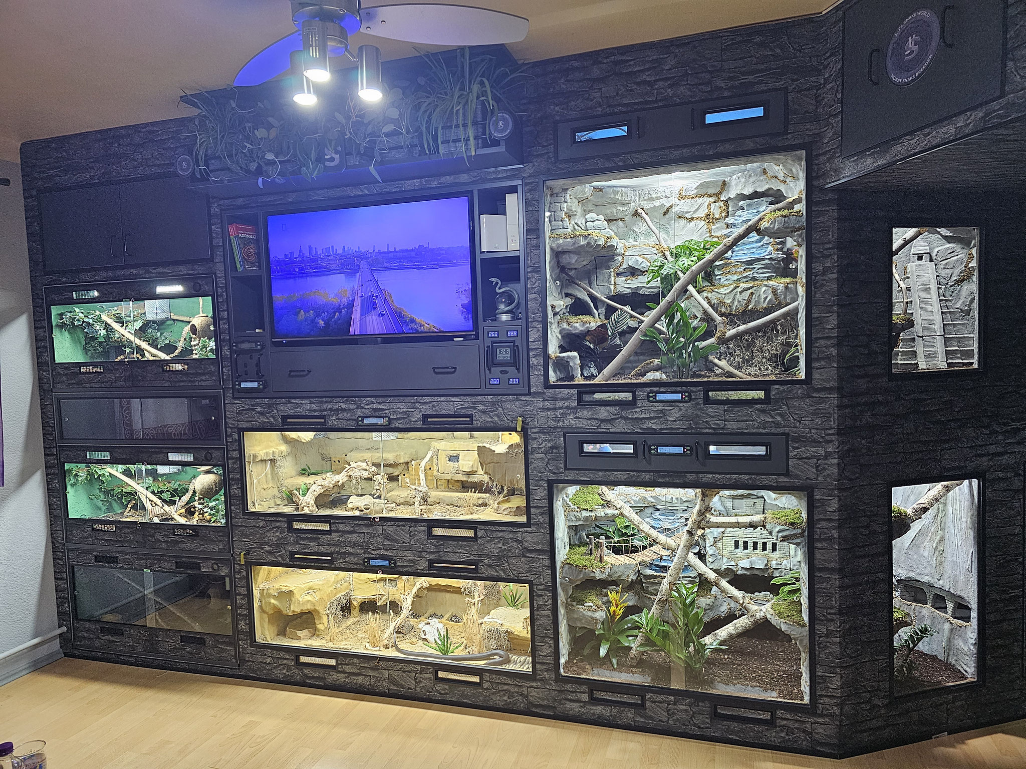 Terrarien-Wand (Bestandstiere 2)