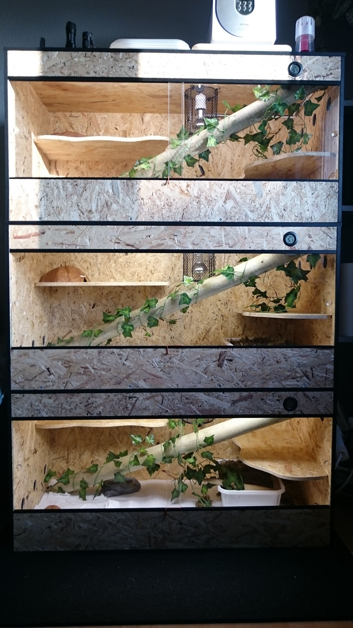 Quarantäne-Terrarien [QT1 - QT3] fertig!