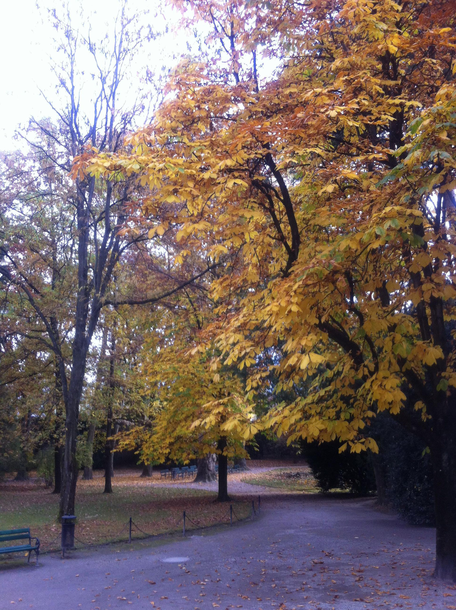 Herbst im Innsbrucker Hofgarten...  2016