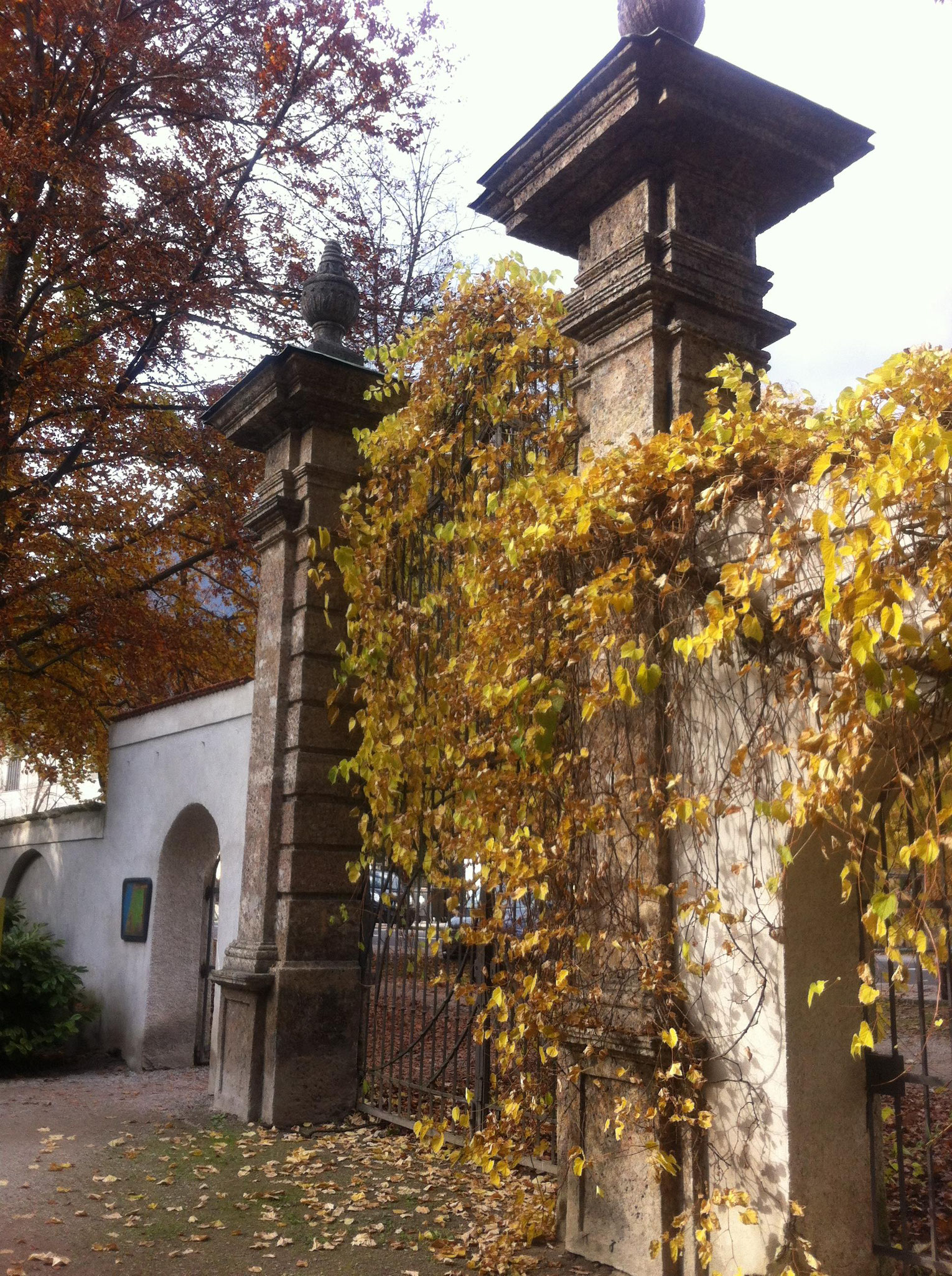 Herbst im Innsbrucker Hofgarten...  2016