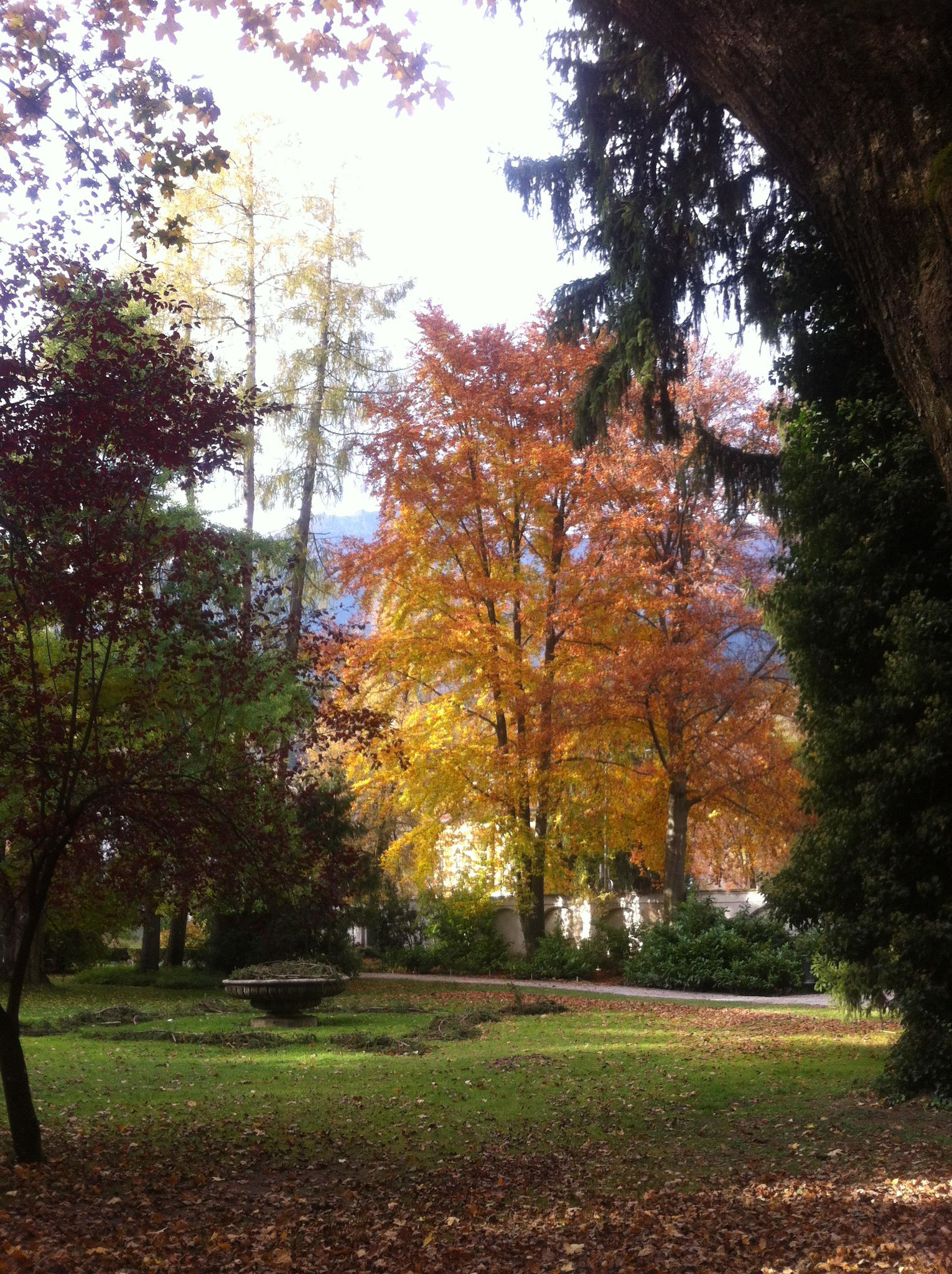 Herbst im Innsbrucker Hofgarten...  2016 