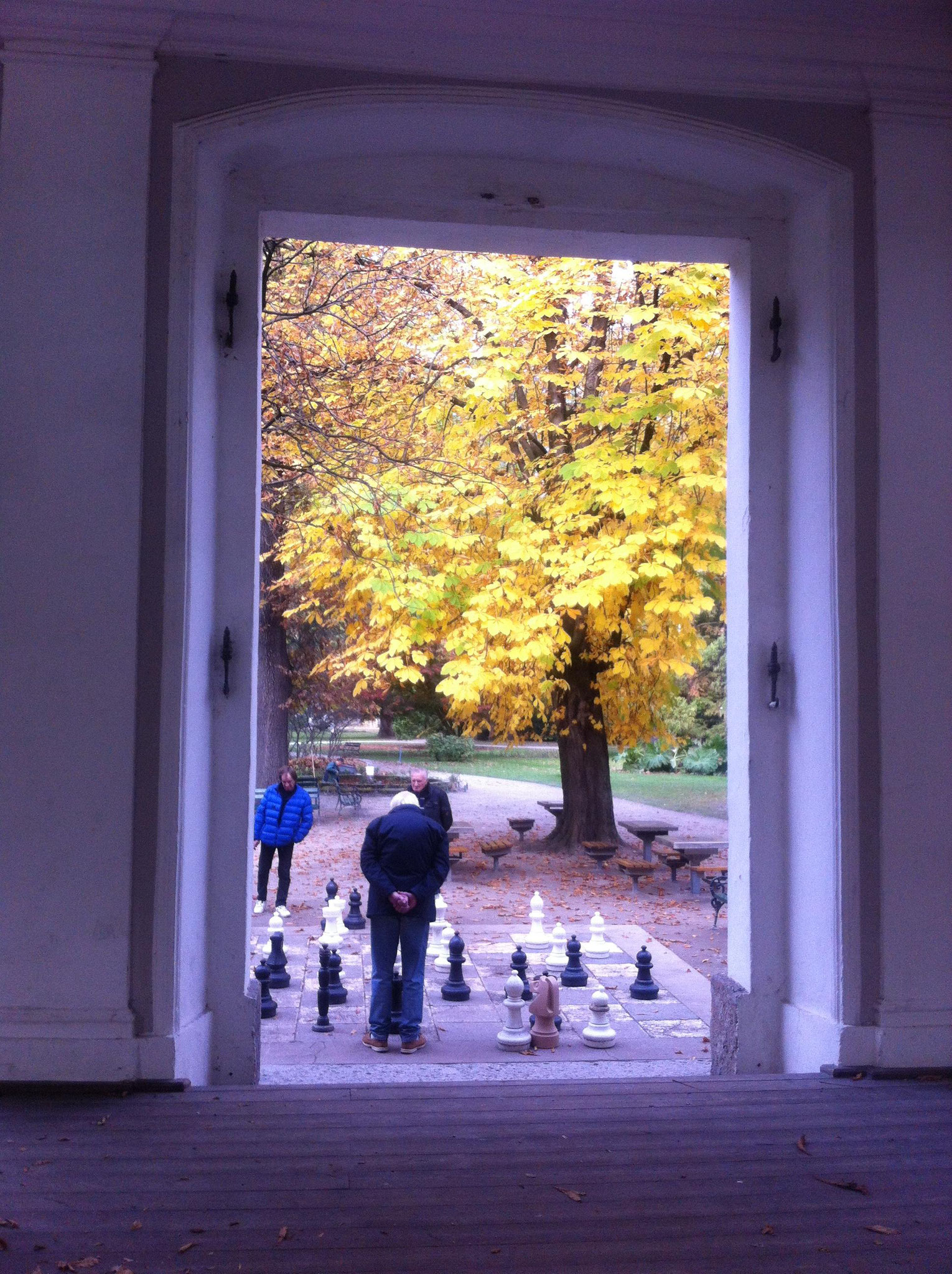 Herbst im Innsbrucker Hofgarten... 2016