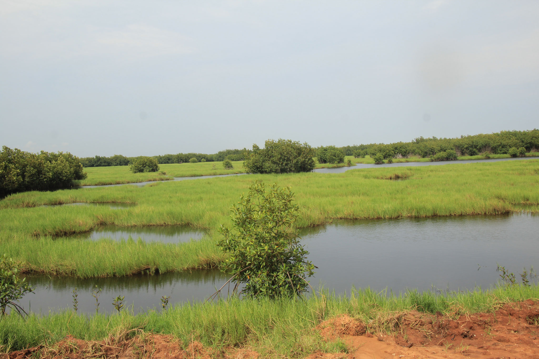 Landschaft in Ouidah.