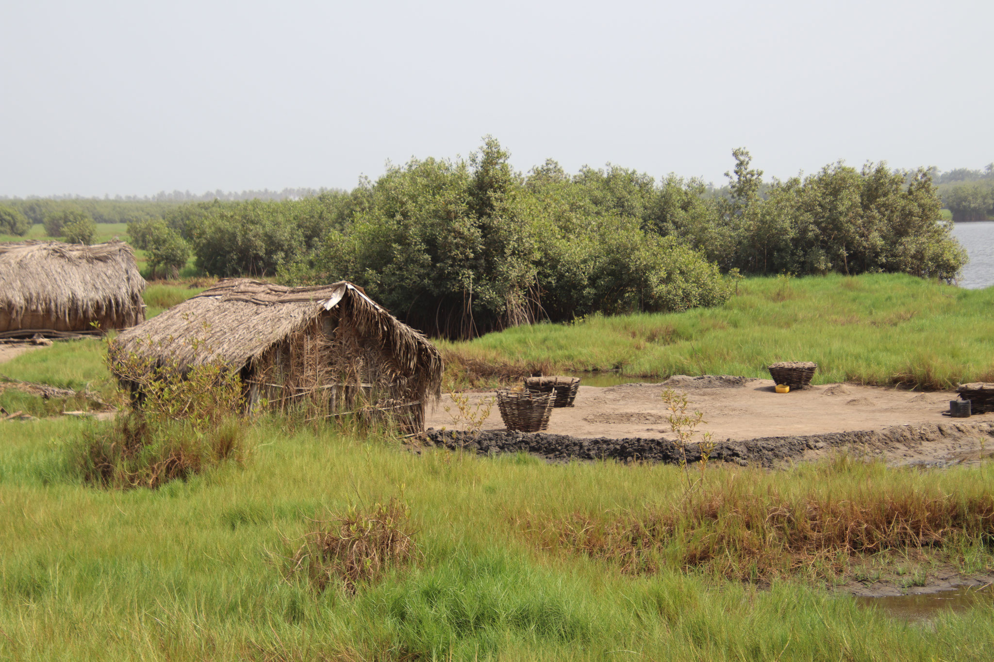 Landschaft bei Ouidah.