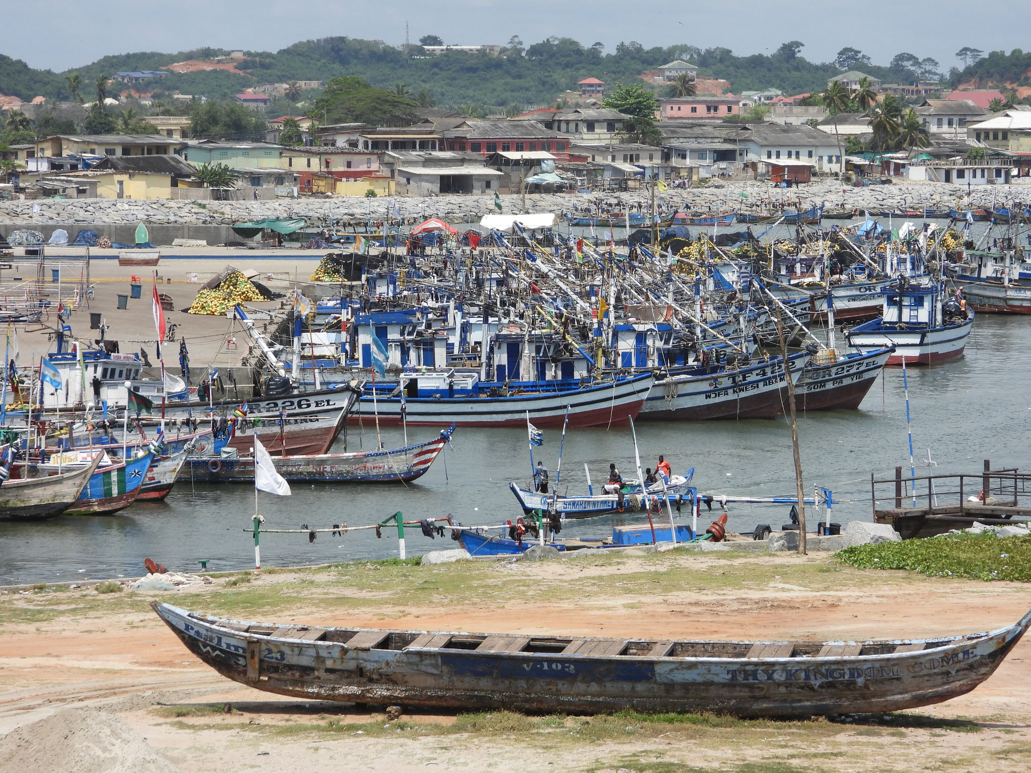 Elmina.