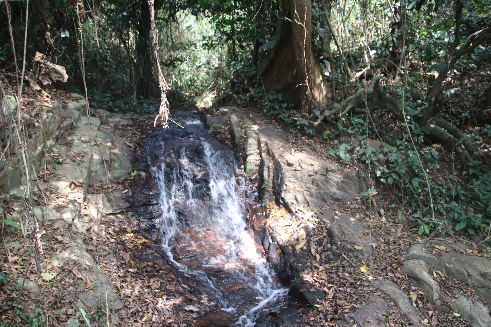 Wasserfall Kouma Tokpli.