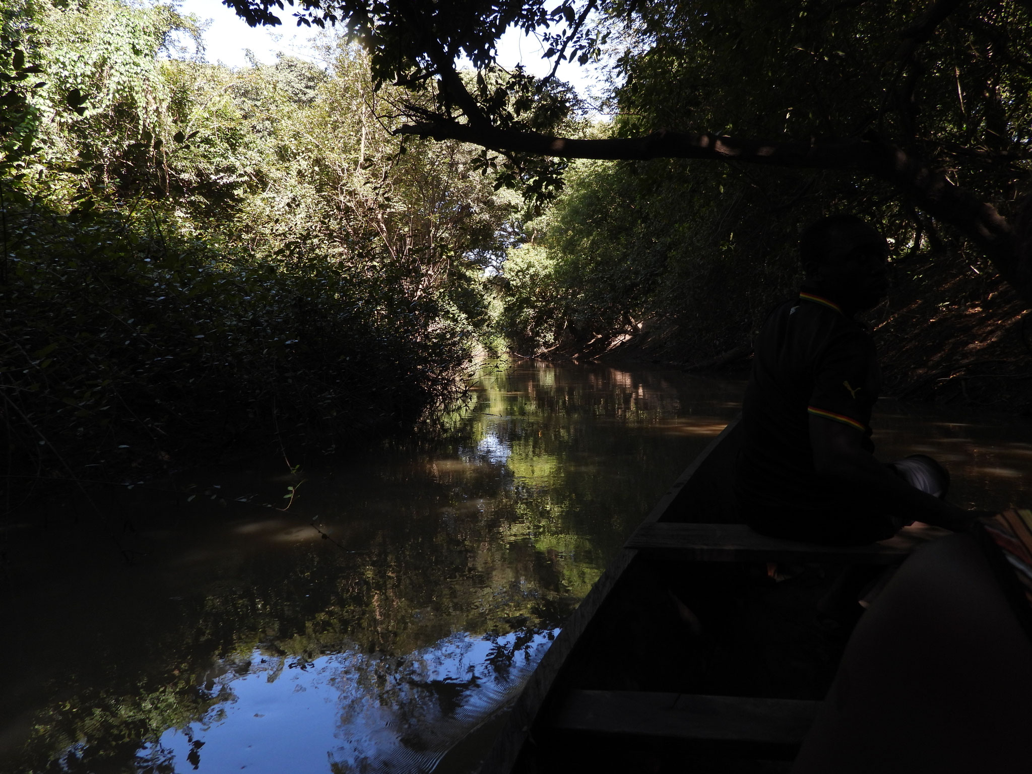 Flusslandschaft.