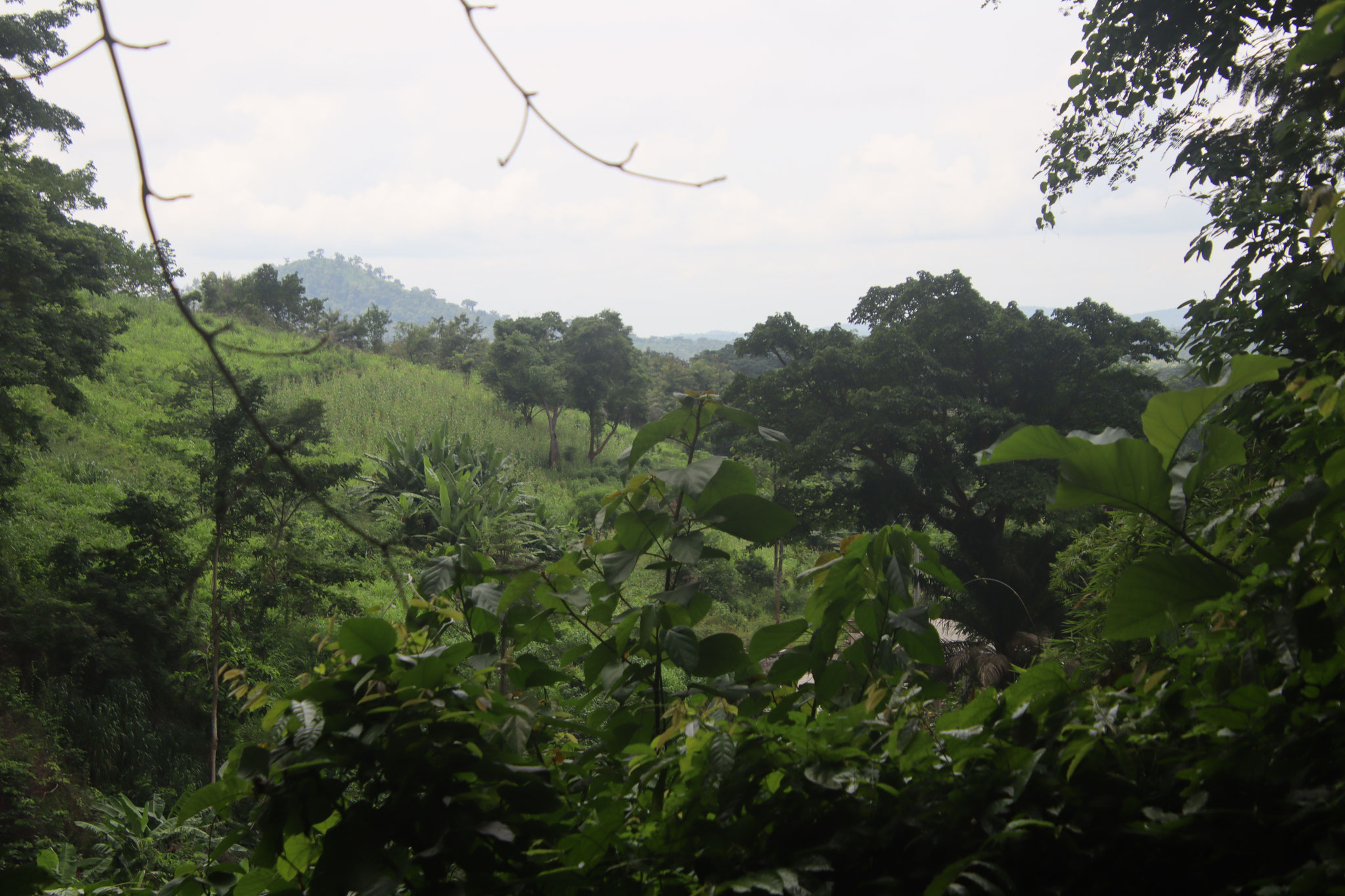 Landschaft bei Kpime-Wuomé.