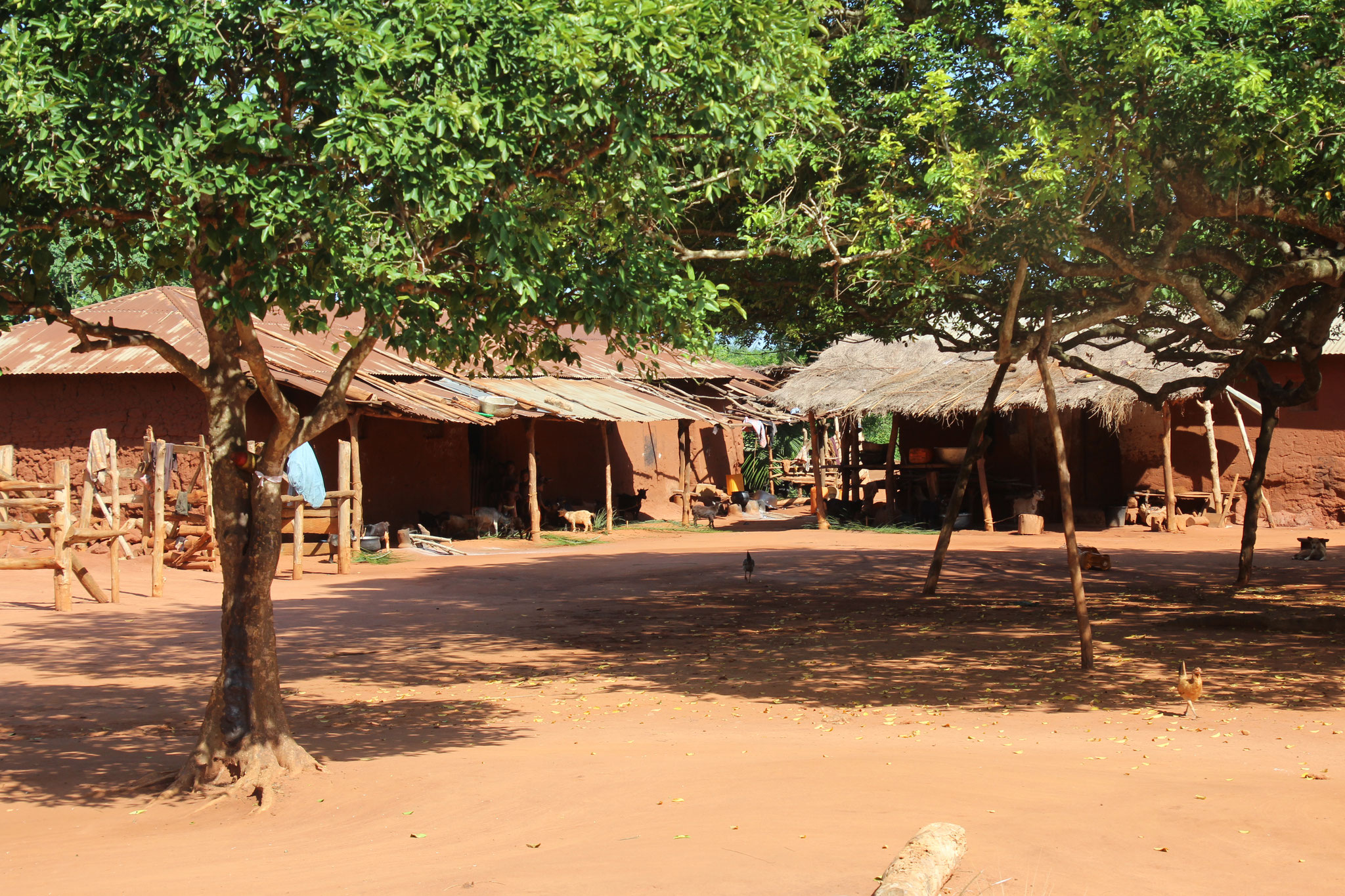 Lehmhütten in Sedome.