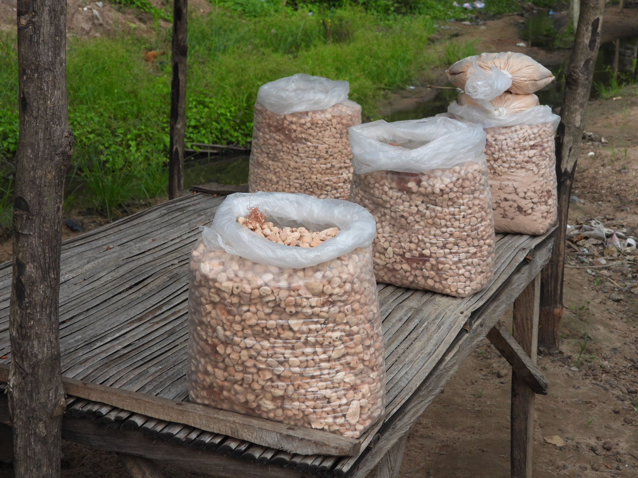 Getrocknete Baobab Frucht.