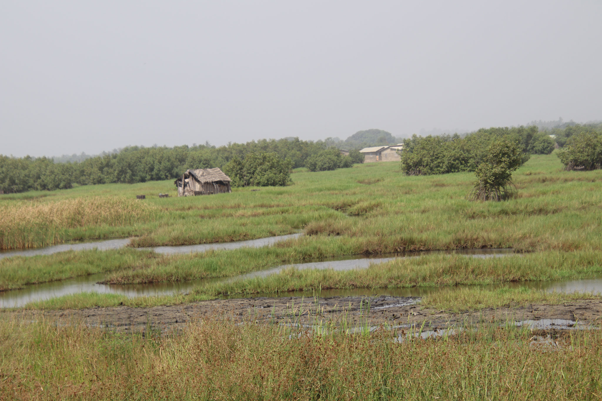 Landschaft bei Ouidah.