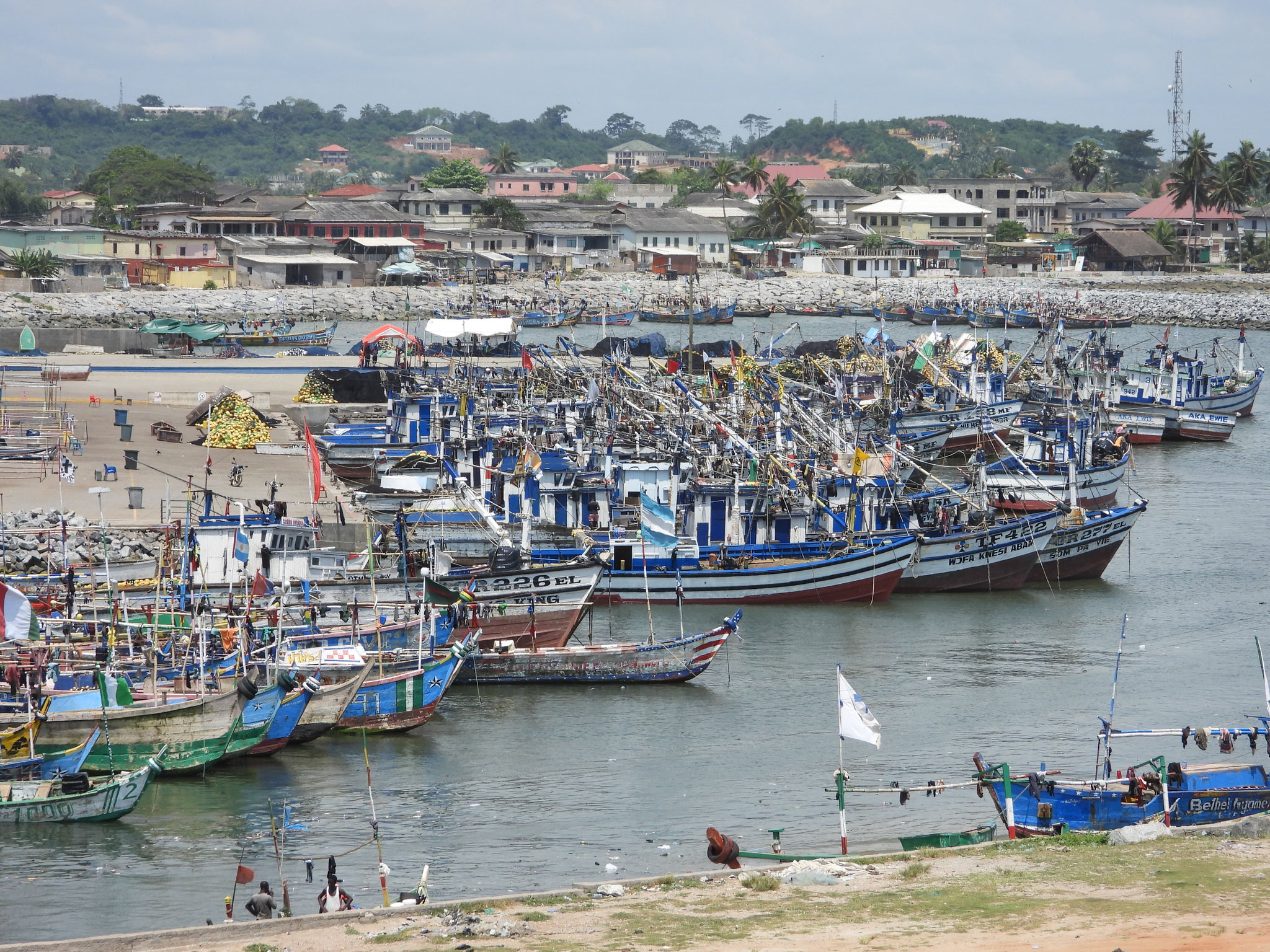 Elmina.