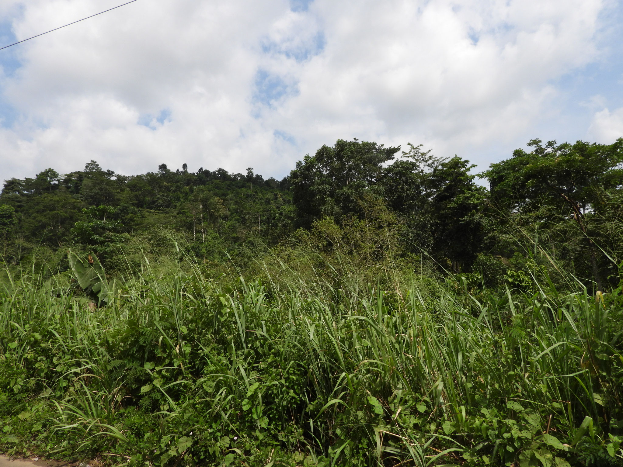 Landschaft nordöstlich von Accra.