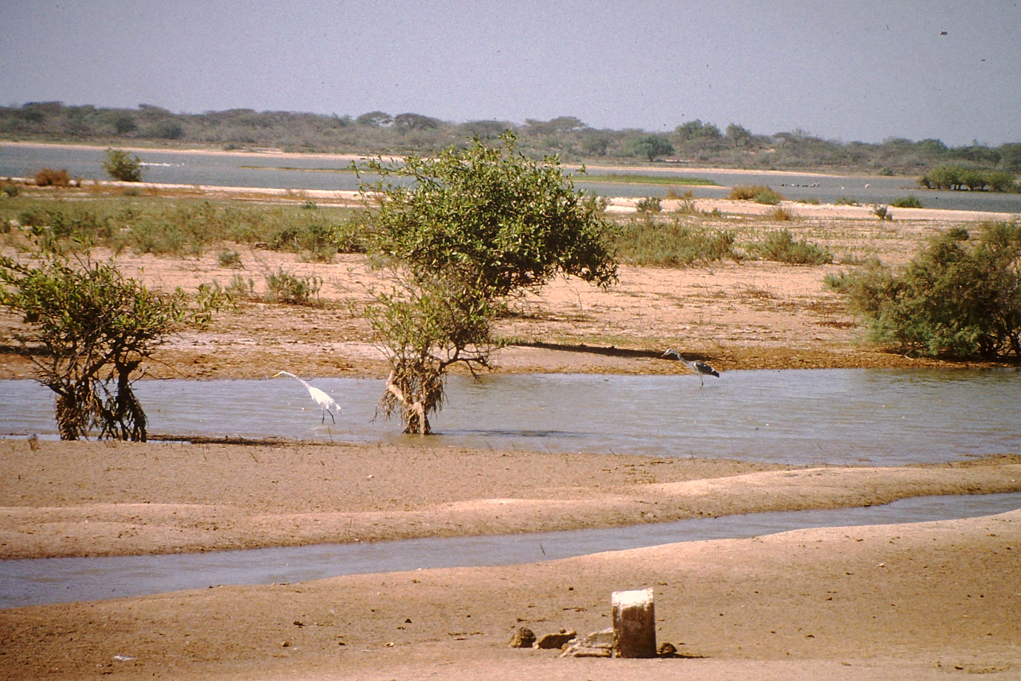 Flusslandschaft in der nähe der Grenze Senegal.