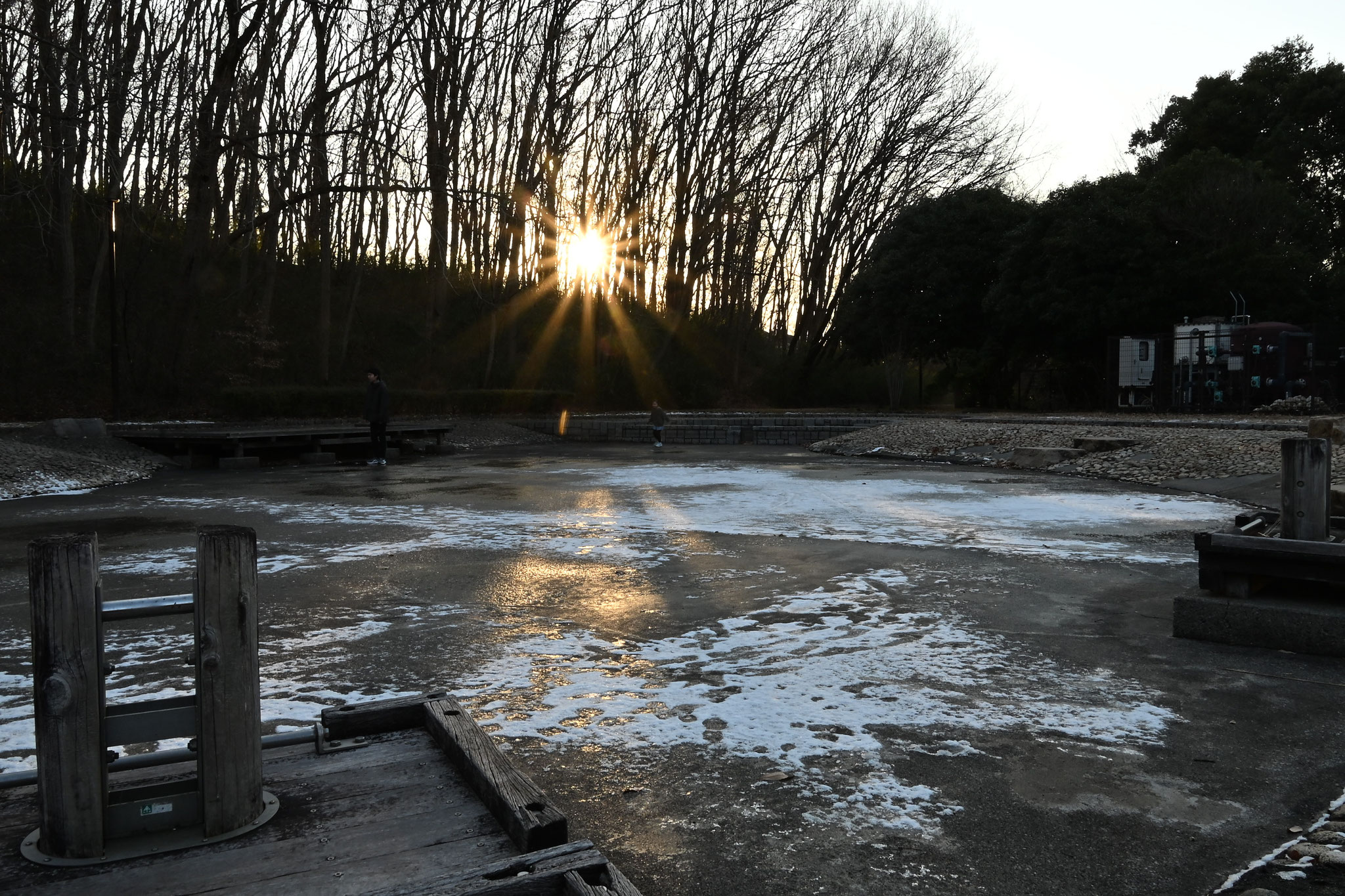 日没前、長岡公園の池に差す光