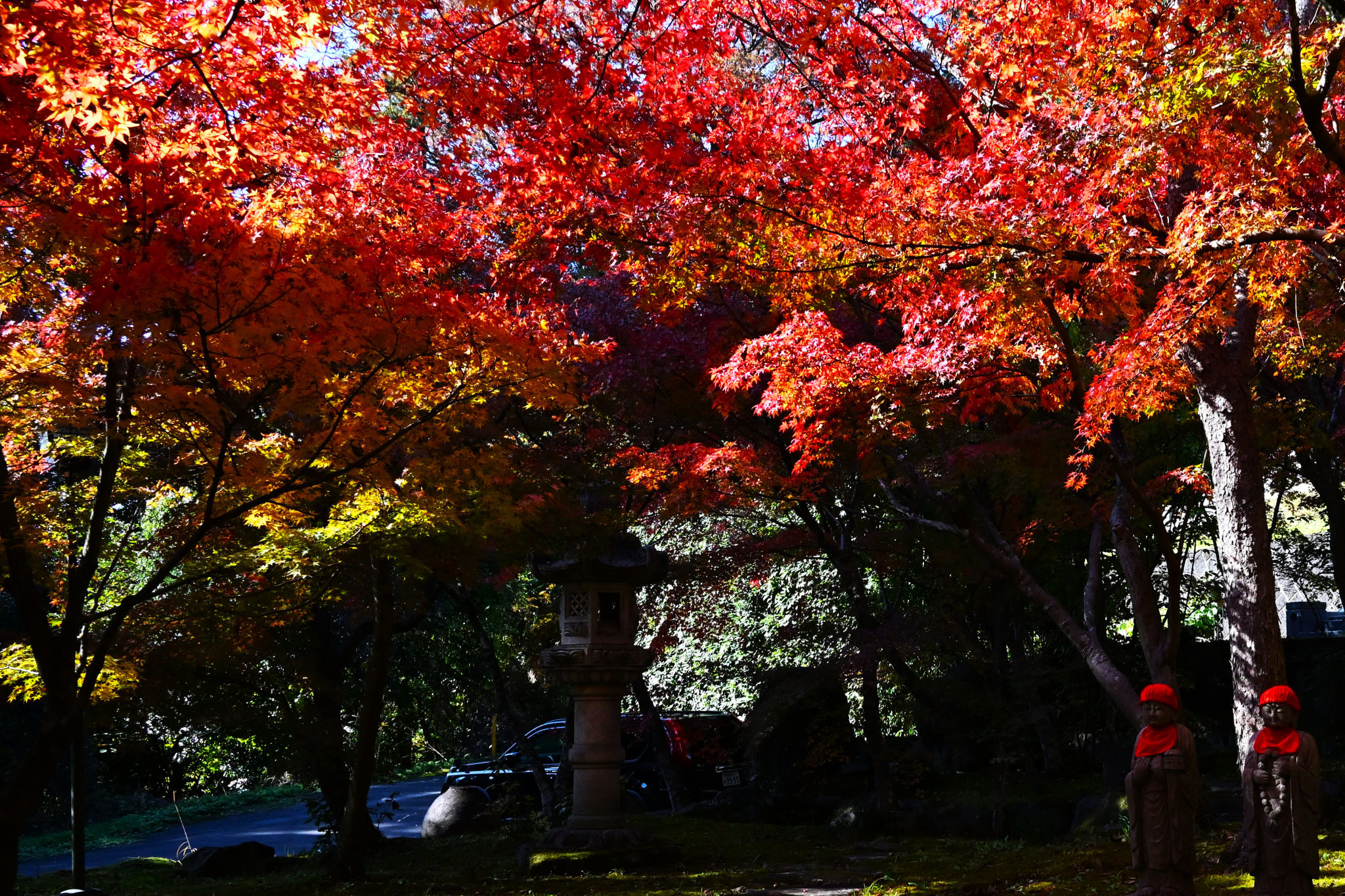 秋の装い　もみじをまとう萬松寺