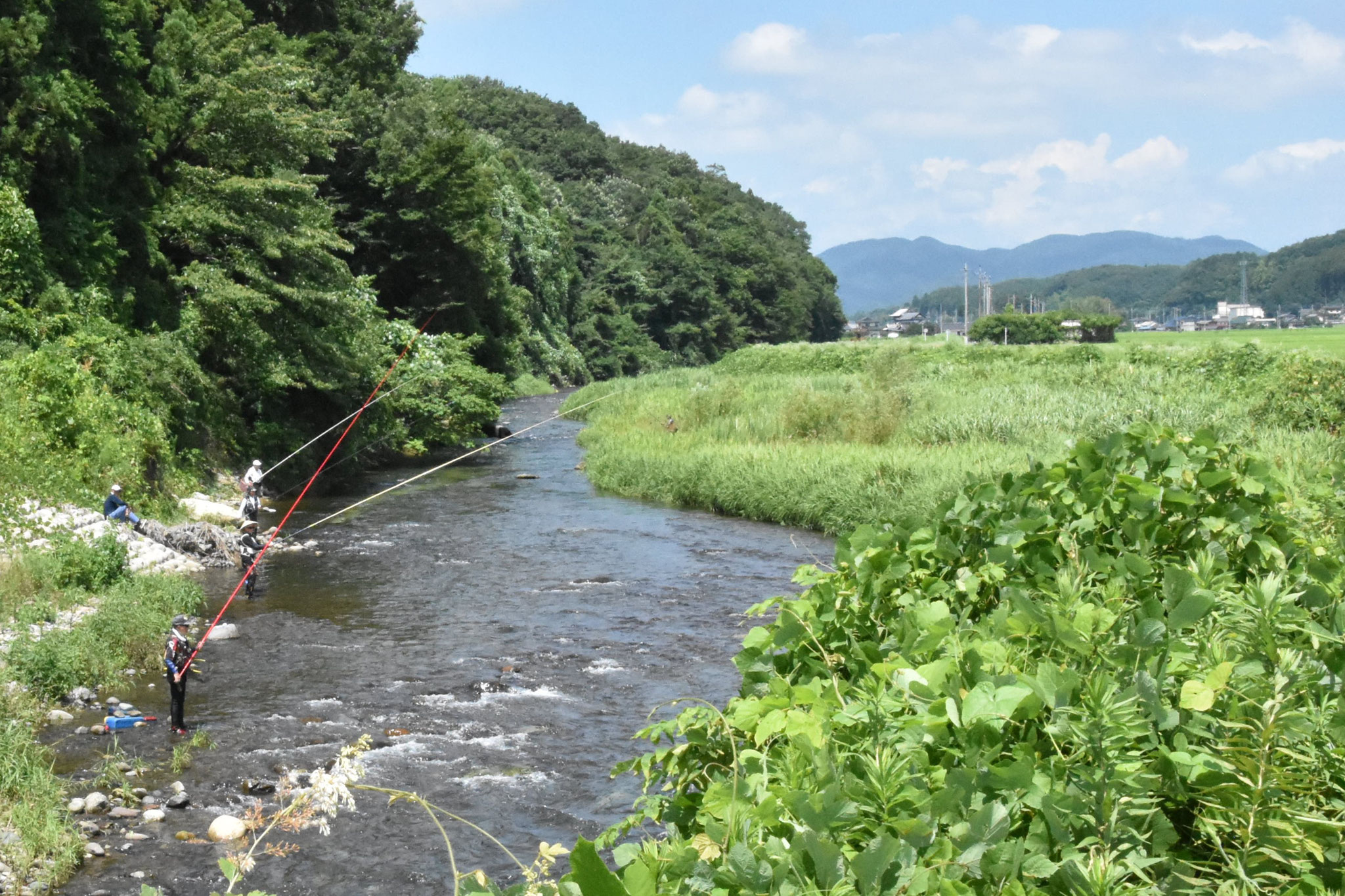 アユ釣り解禁　田川のポイントに竿の放列