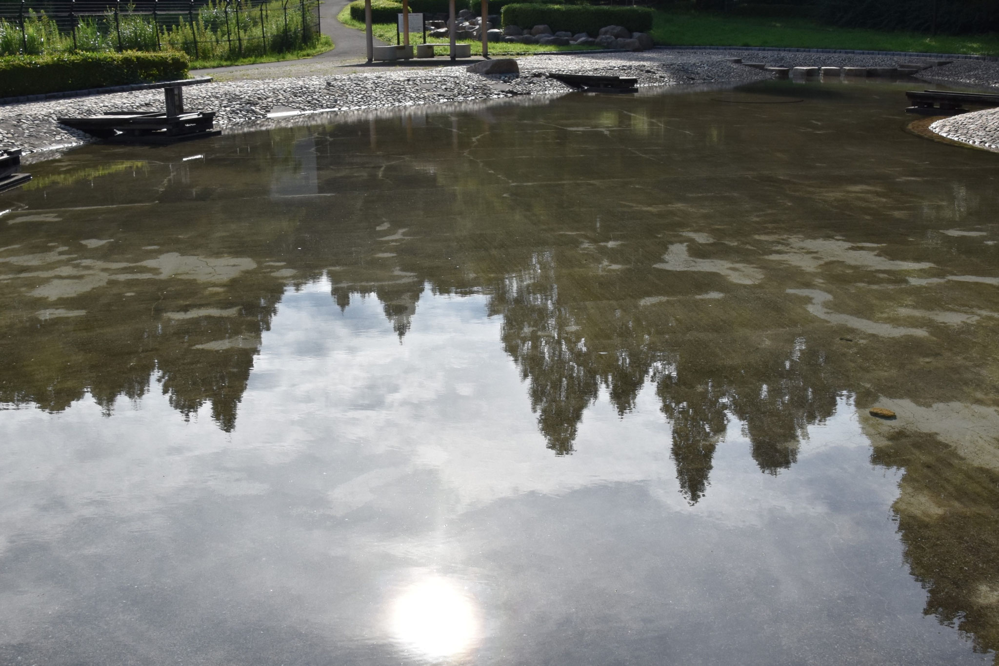 長岡公園の池に光る夏の太陽