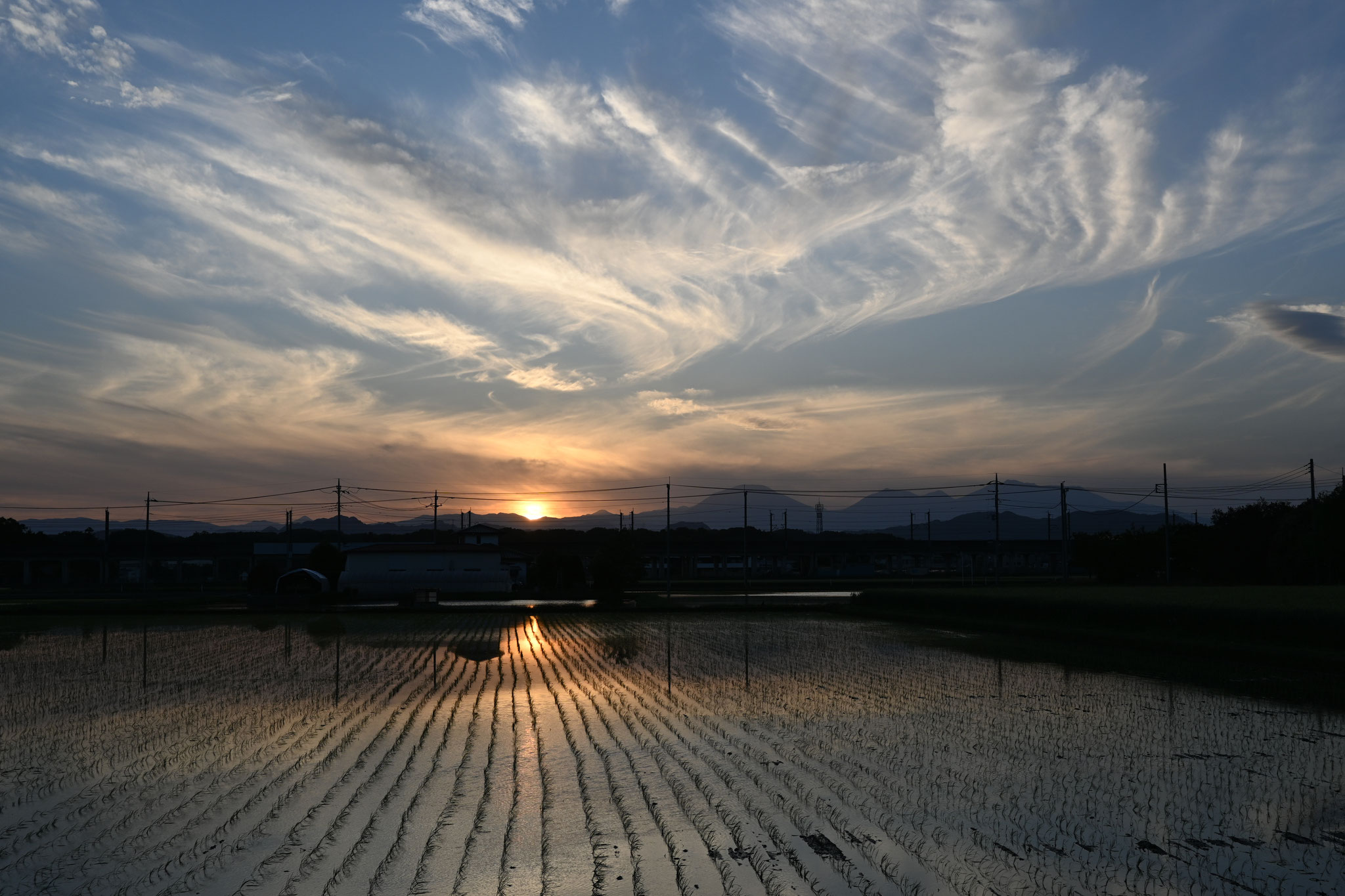 夕日を映す水田　風に舞う雲