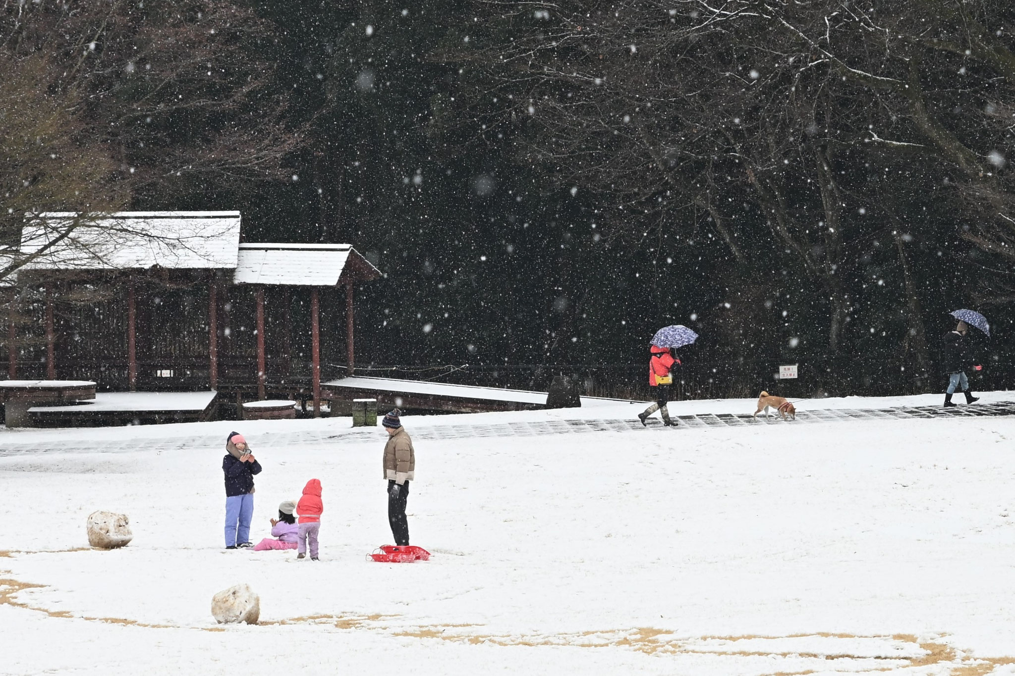 しんしんと降る雪は公園を白の世界に