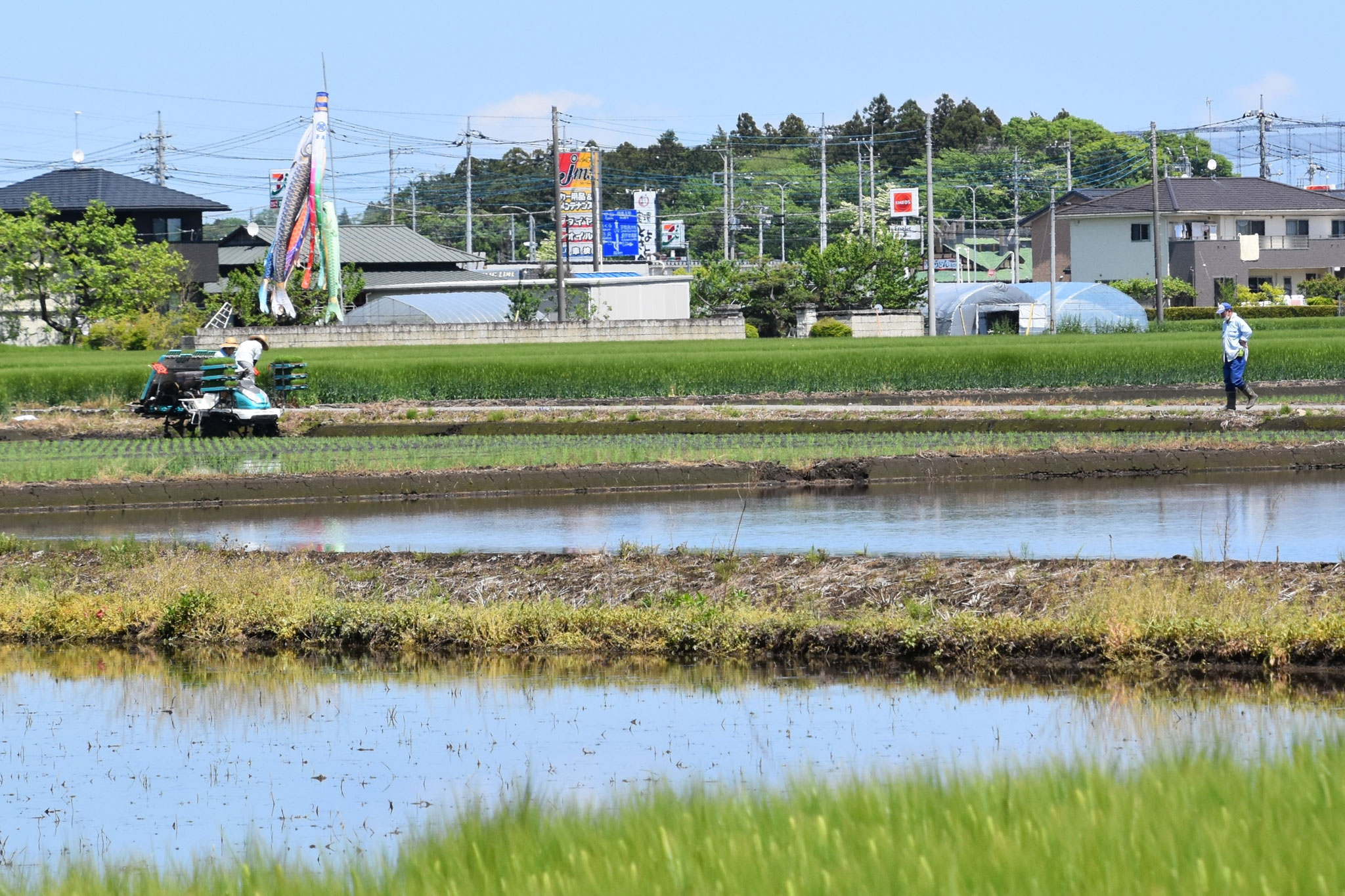 ゴールデンウイーク　郷の田園風景