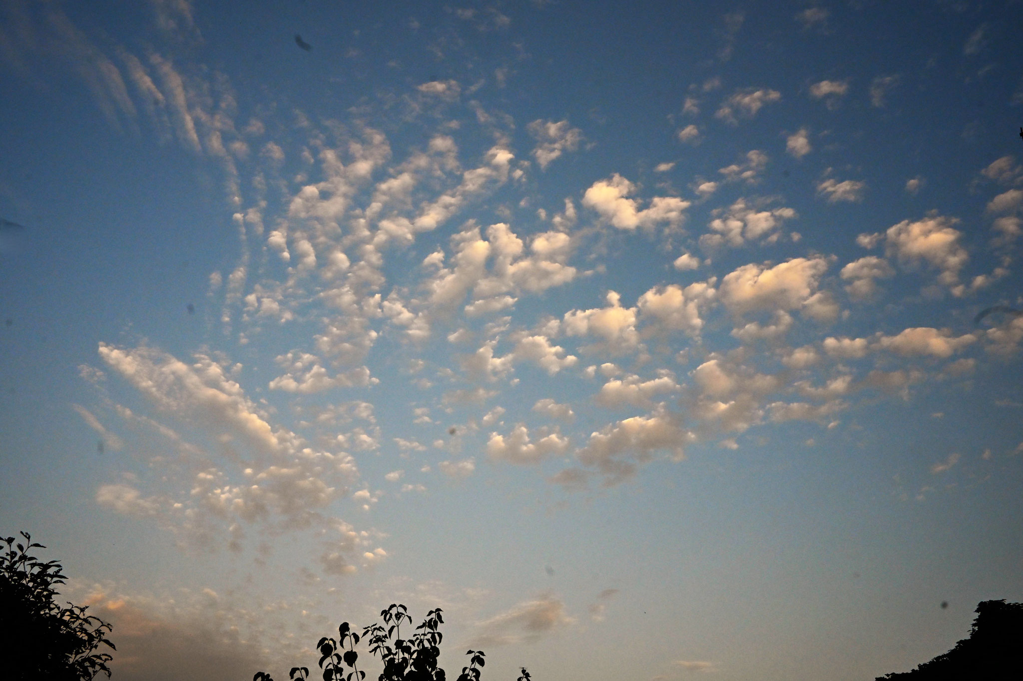 9月16日早朝　西の空に浮かぶ雲