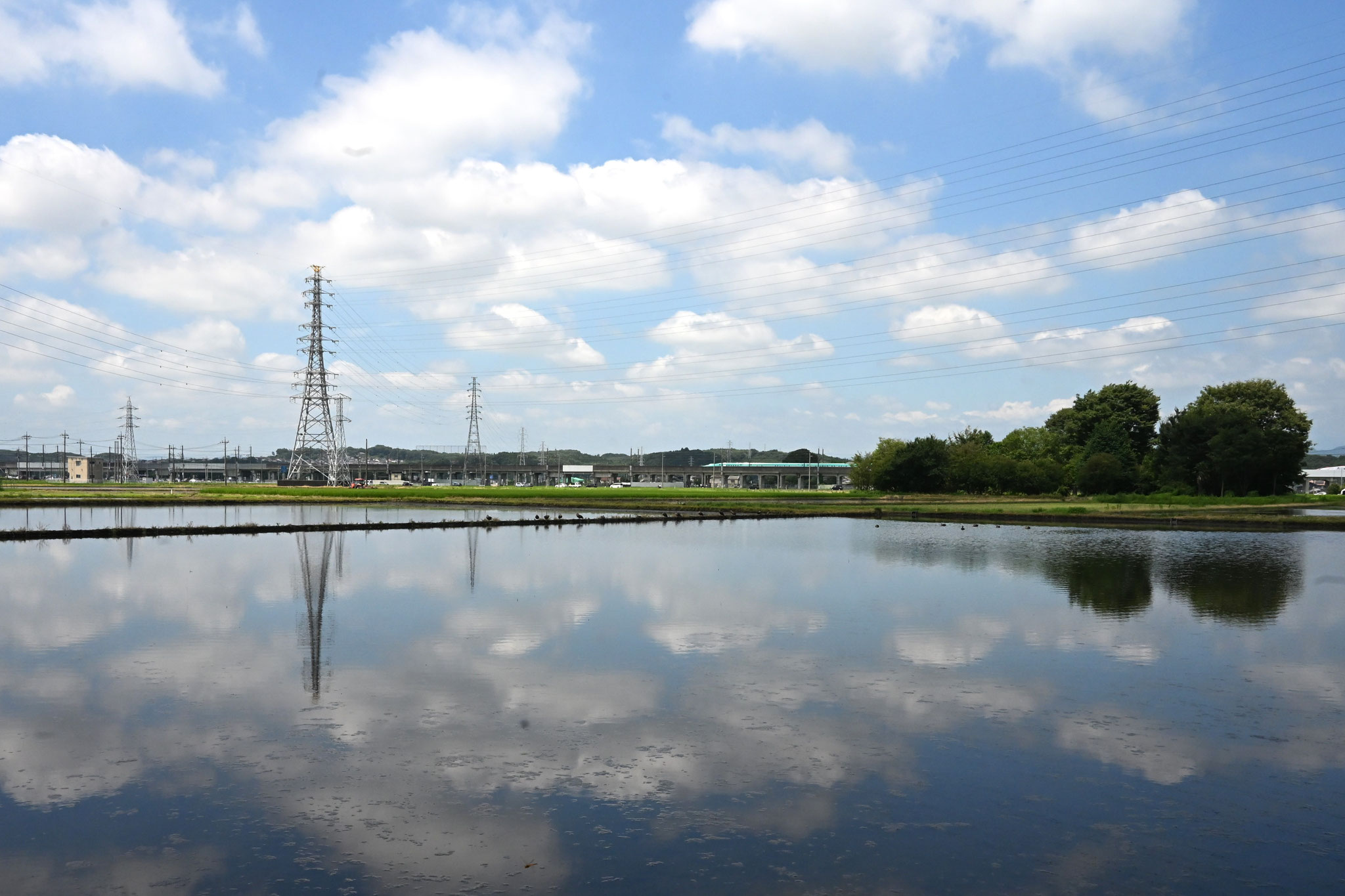 水面に広がる梅雨明けの空