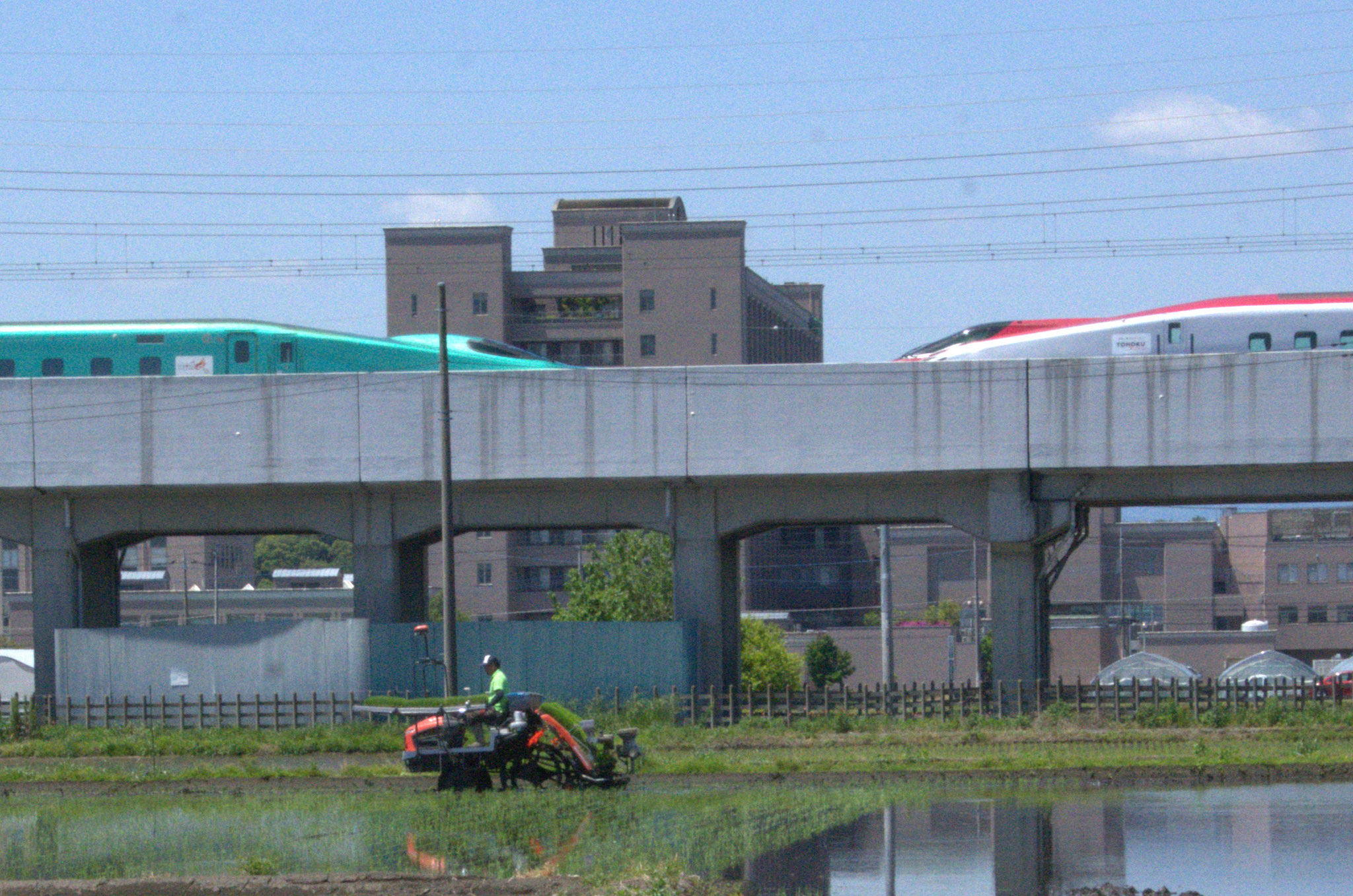 初夏の陽光　絶好の田植え日和