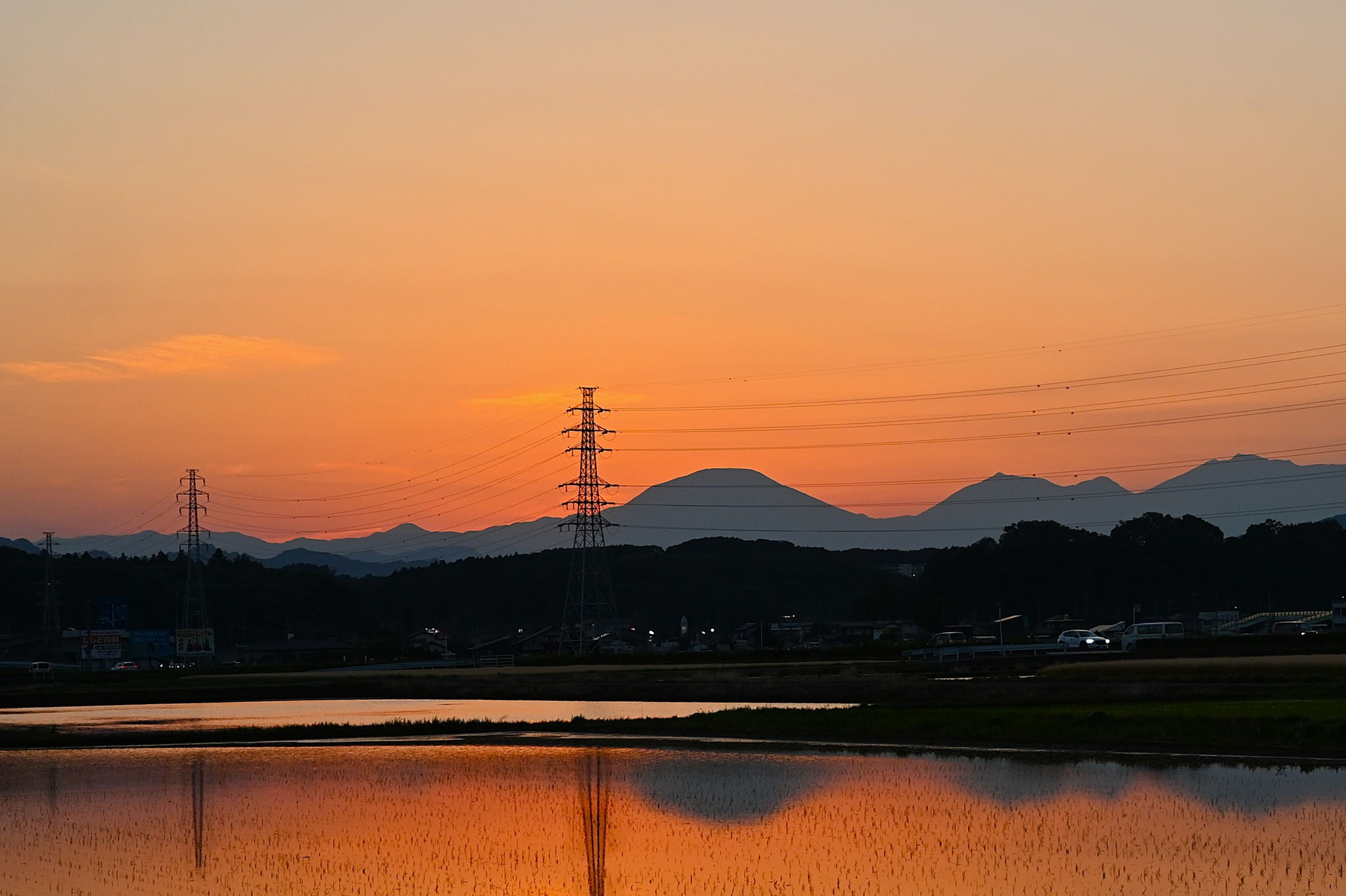 田植え後の水田に映る茜空