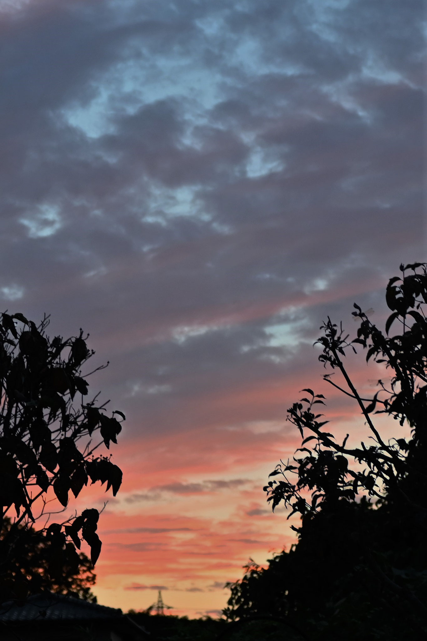  あかね雲　秋の夕焼け