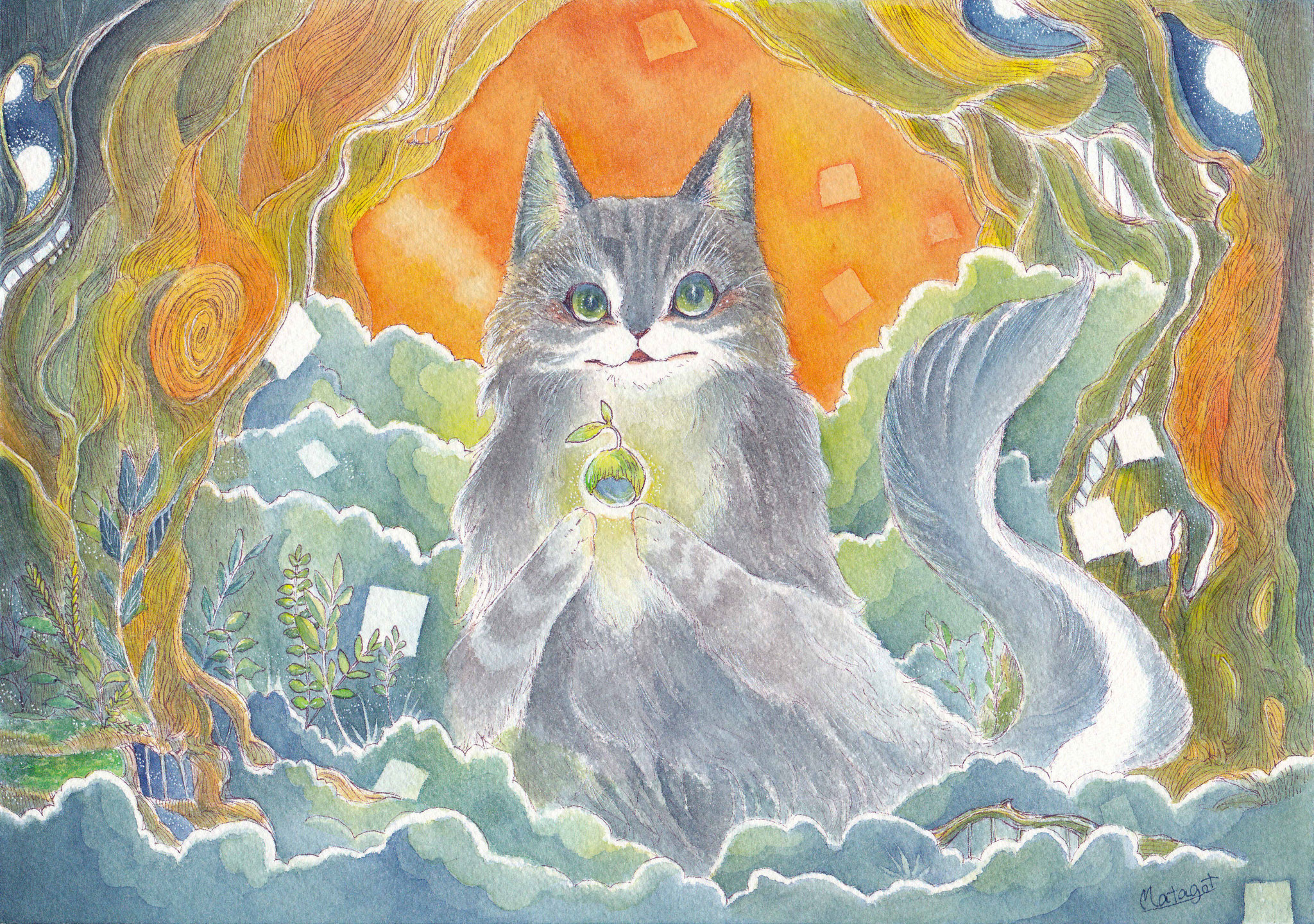 苗猫