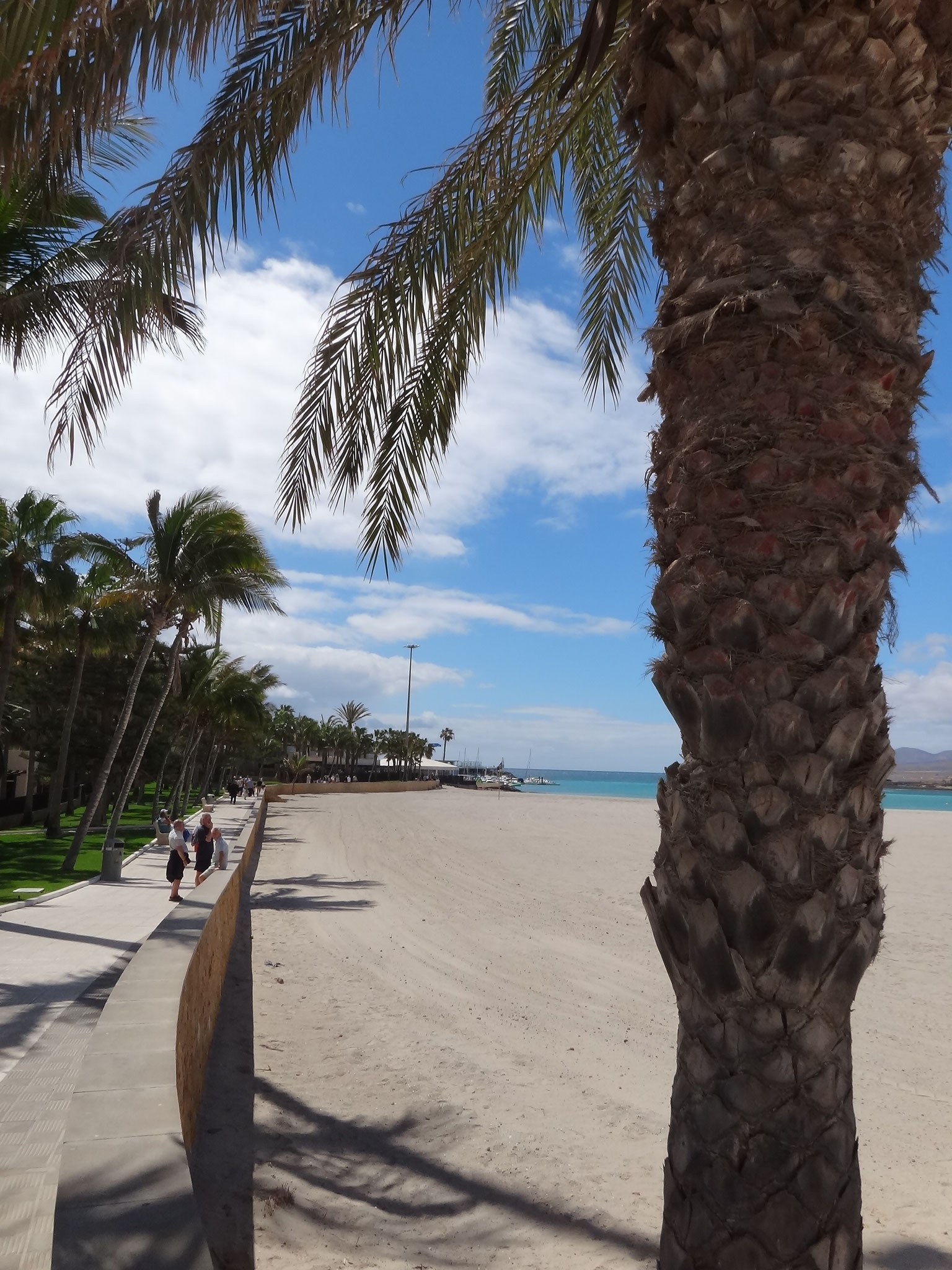Sandstrand mit Palmen direkt neben dem Hafen