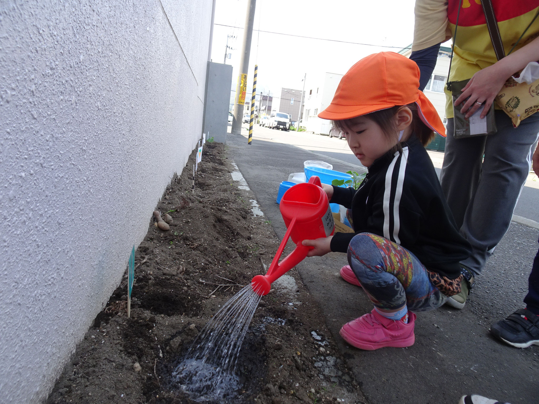ぞうぐみさんの苗植えです。