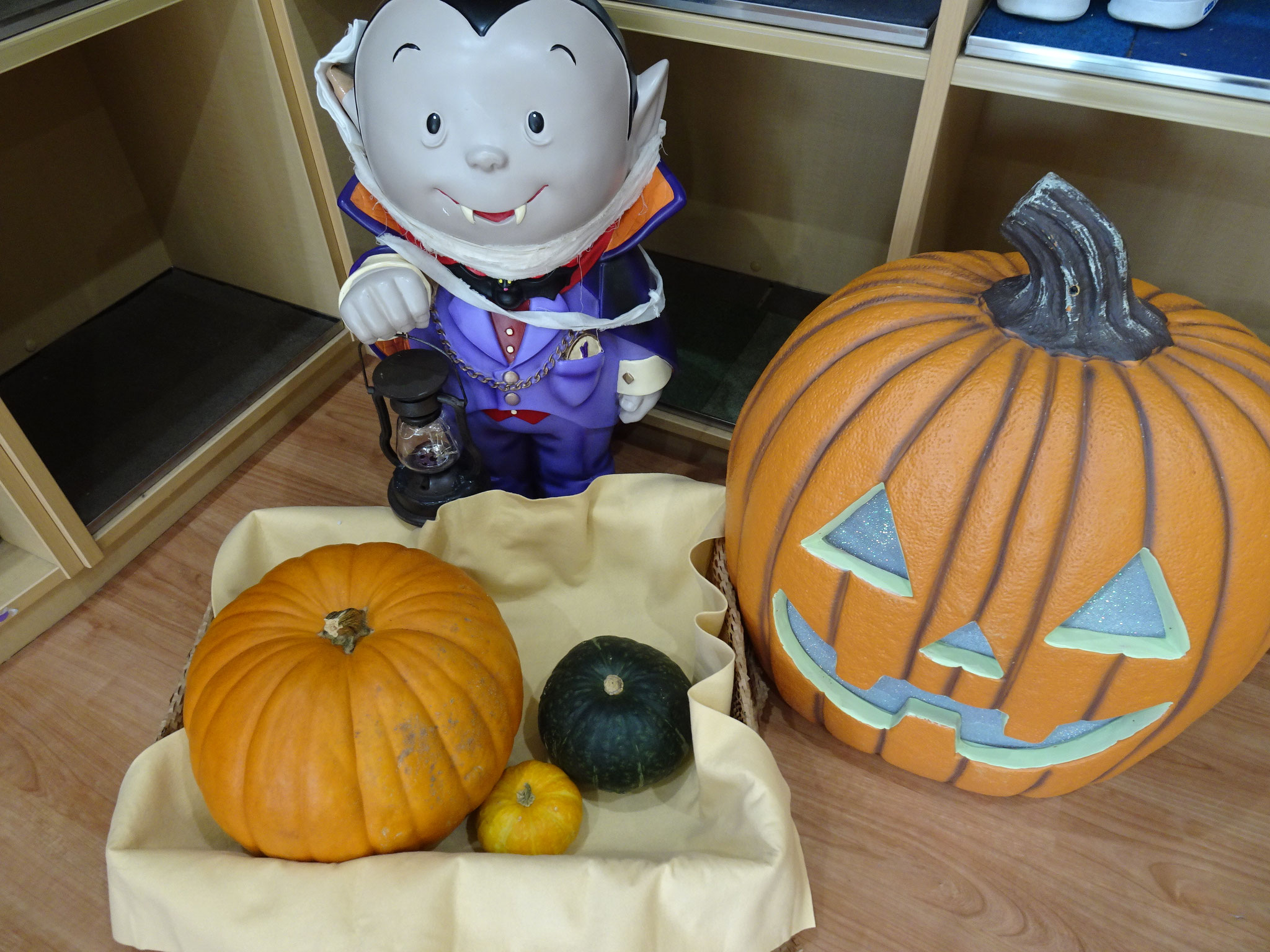 ハロウィンがもうすぐです。カボチャのおともだちがやってきましたよ～。