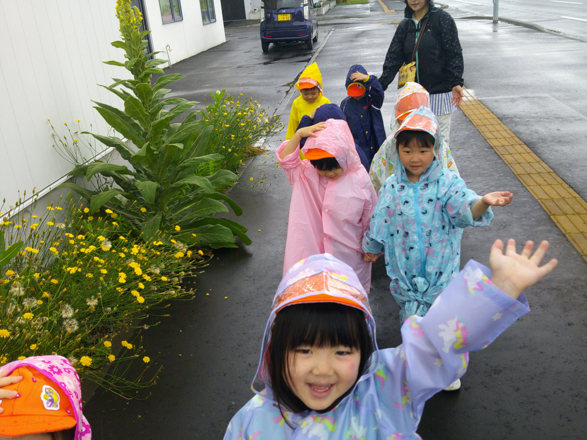 小雨の中、カッパを着て探索。