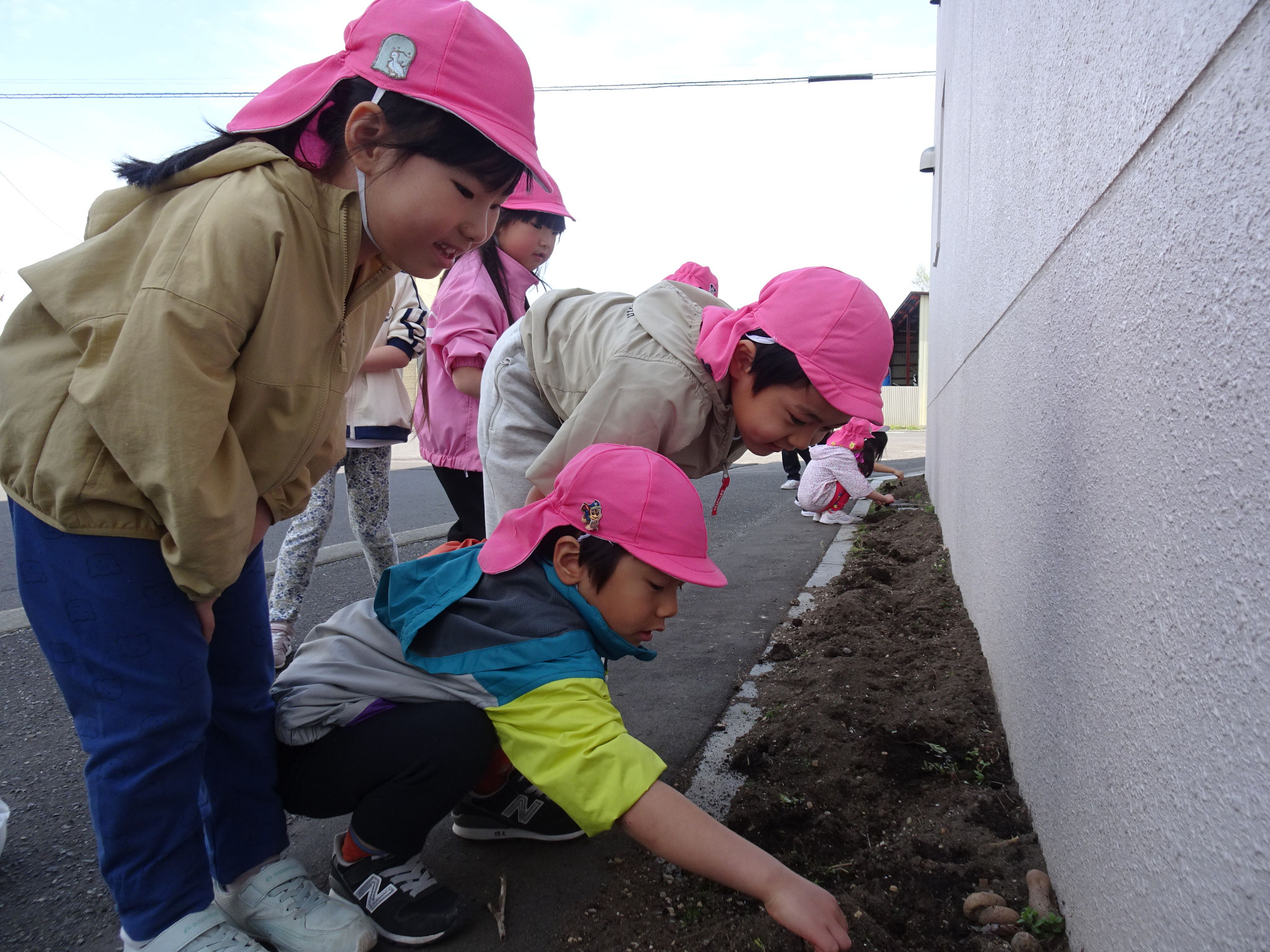 種まきの前に年長さんが畑の草取りをしてくれました。