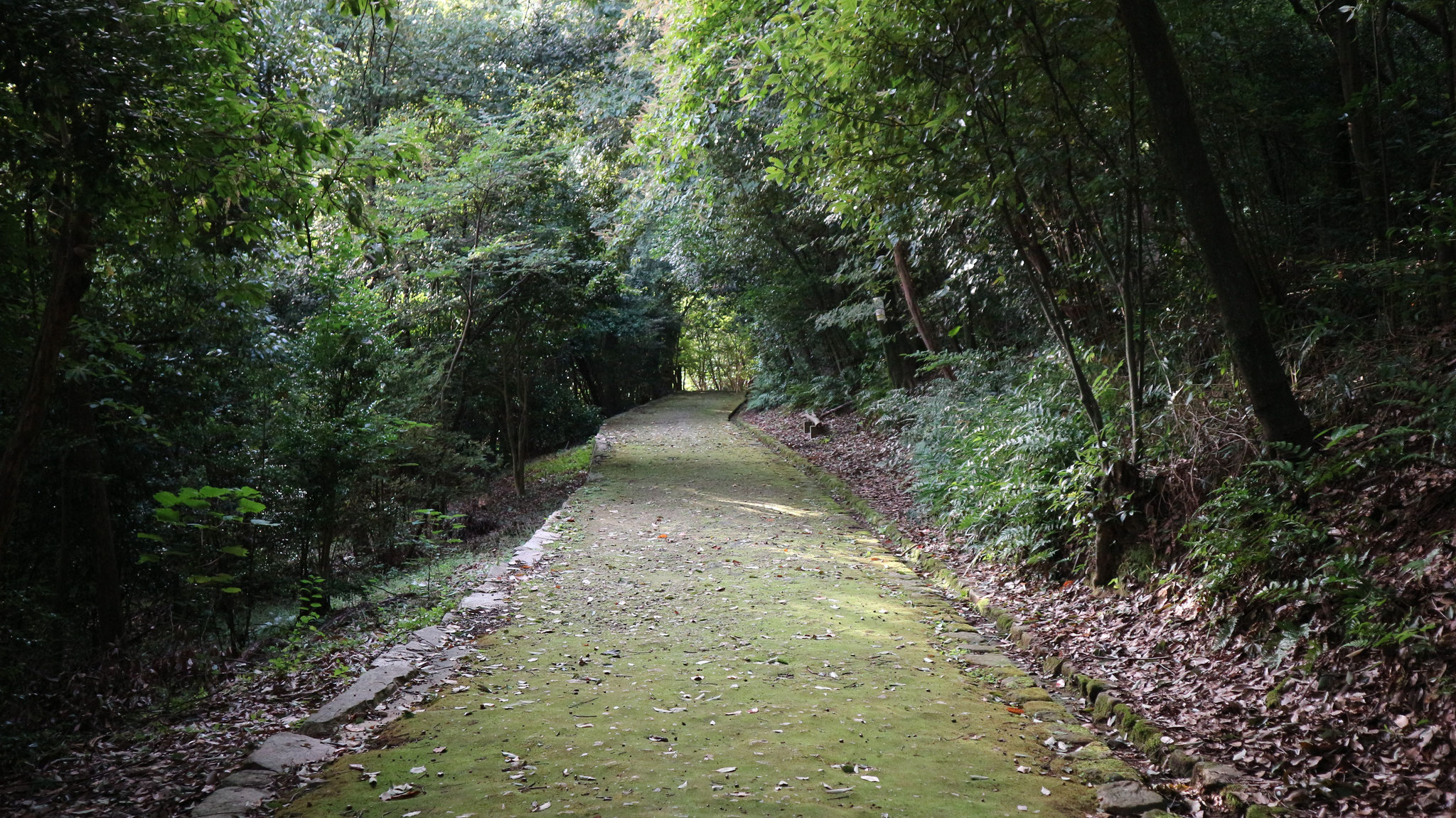 双ヶ丘の周回山道