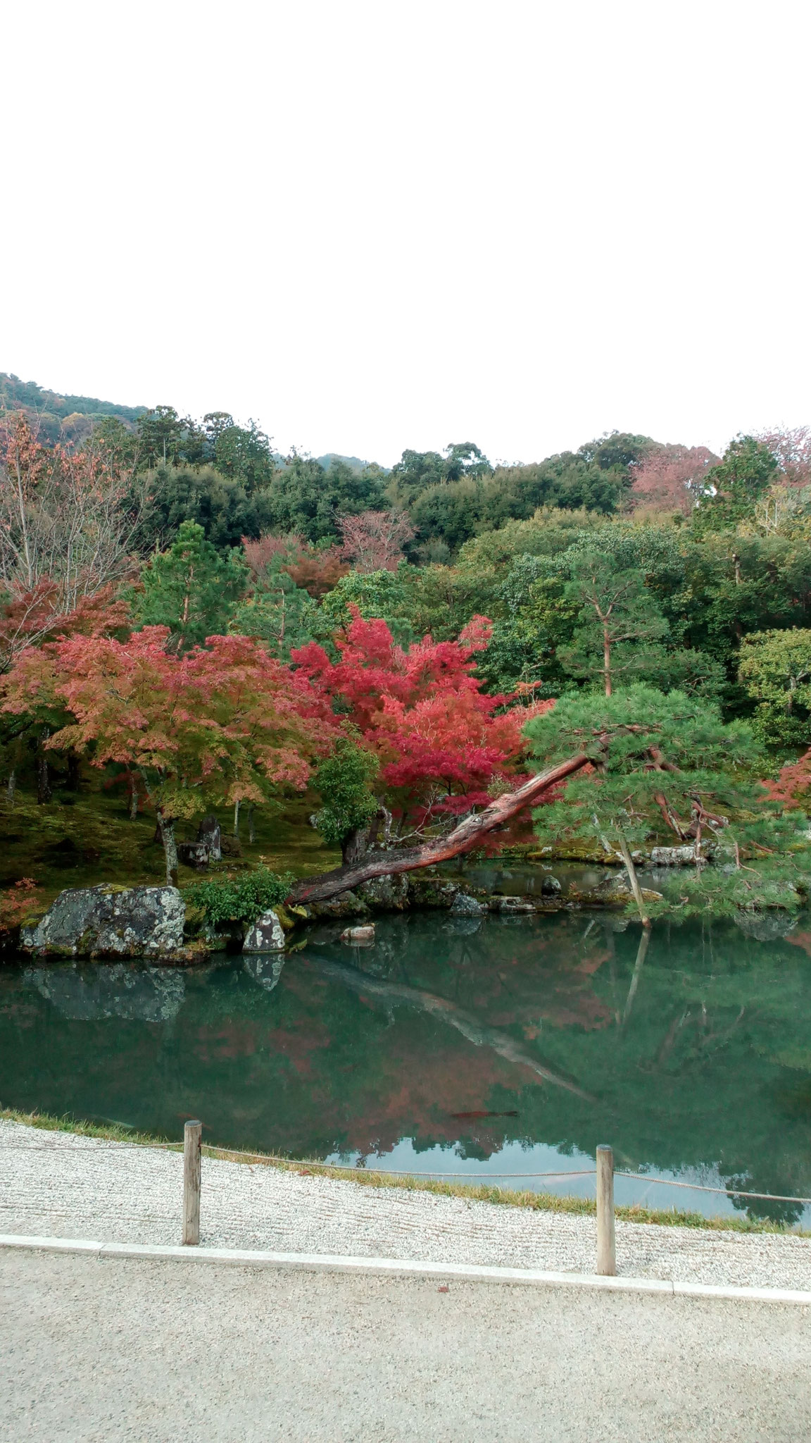 「曹源池」庭園