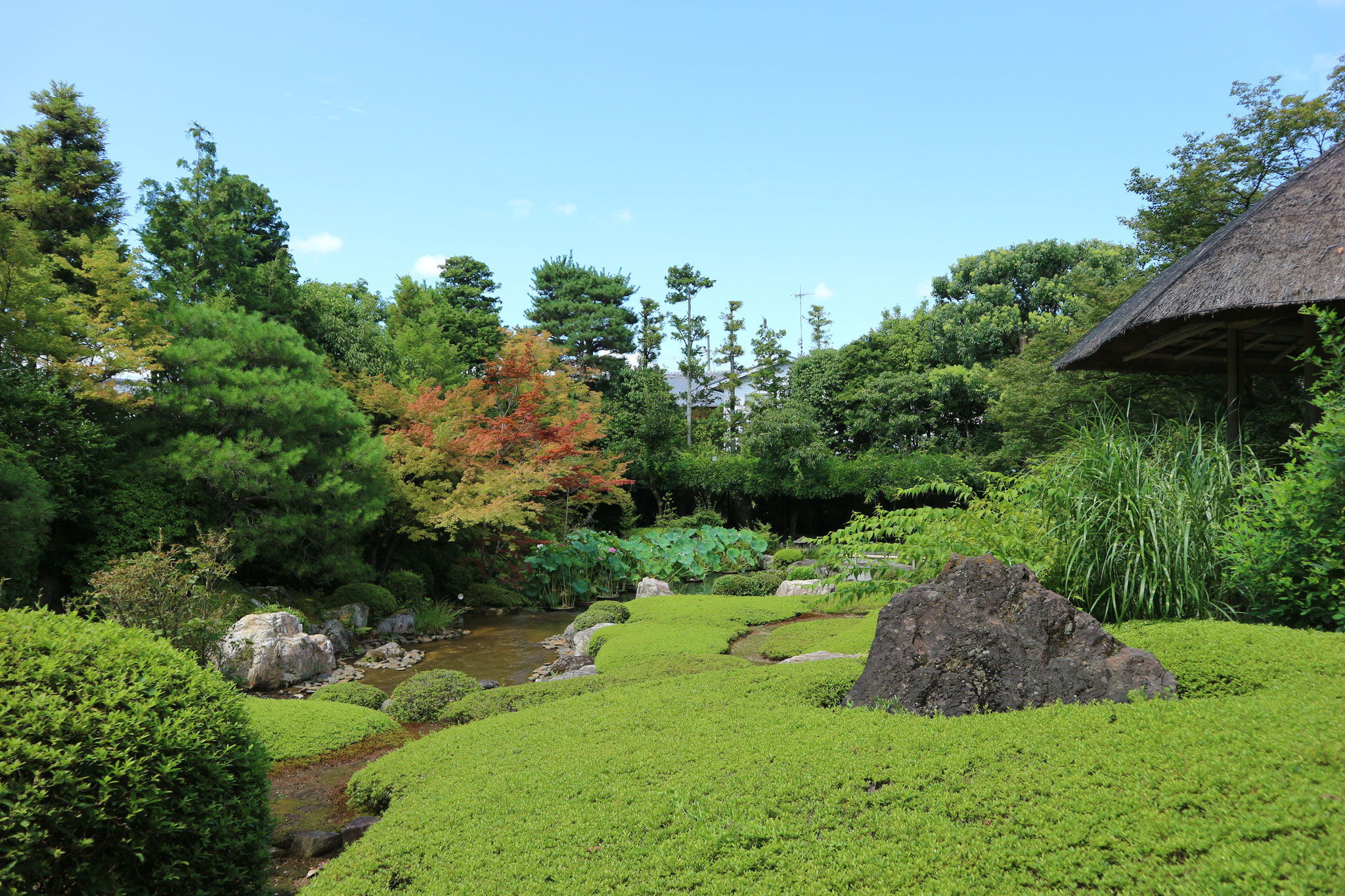 退蔵院余香園