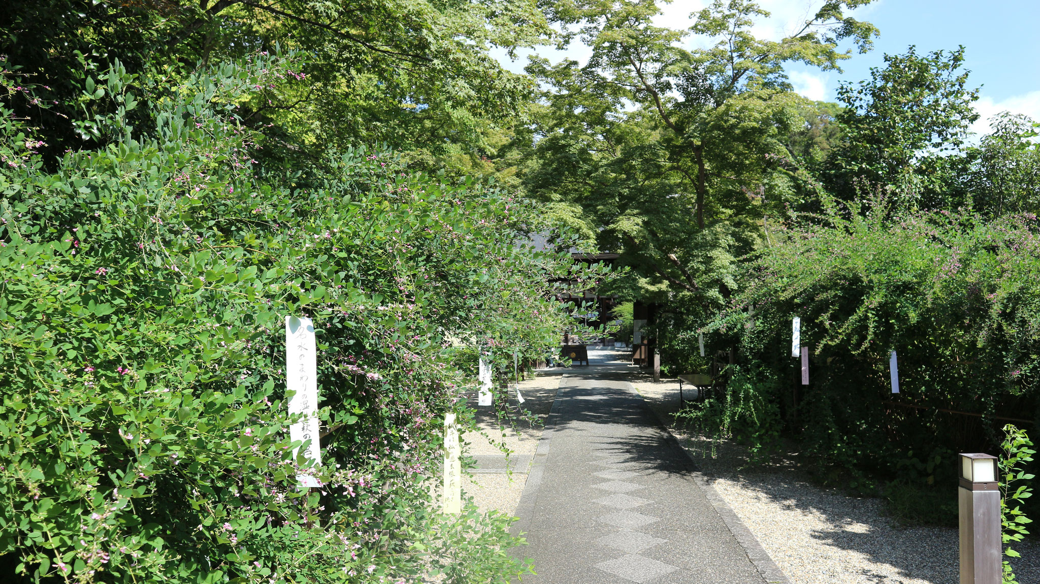 梨木神社