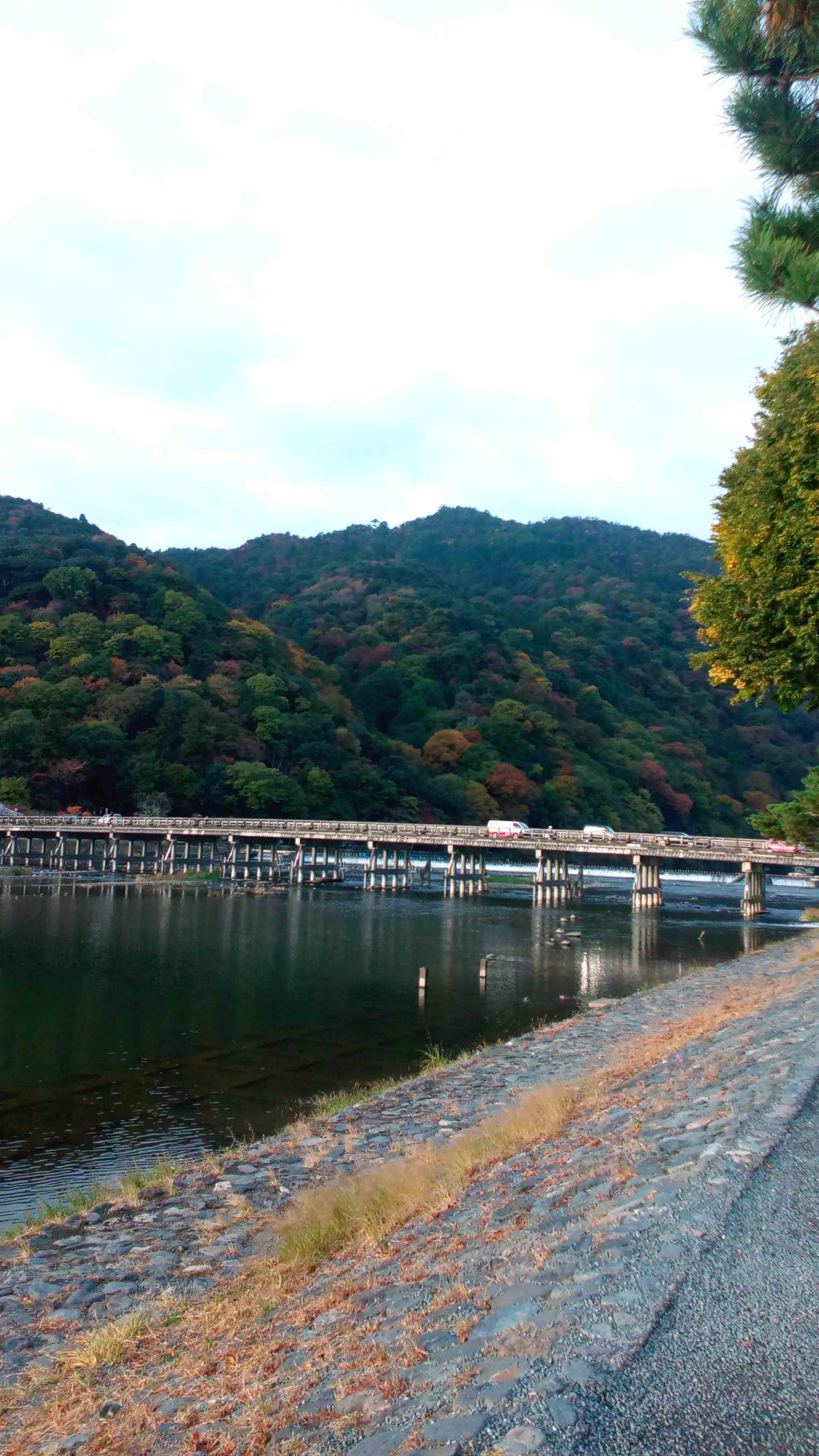 嵐山と渡月橋